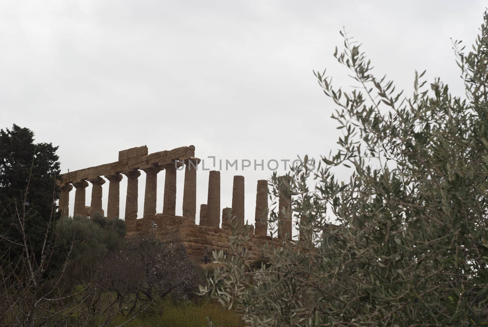  "Valle dei Templi"-  Valley of the temples, Agrigento, Sicily, Italy