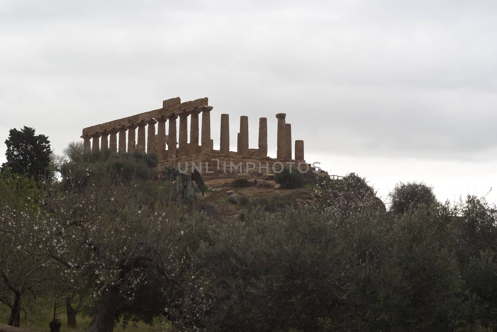 "Valle dei Templi"-  Valley of the temples, Agrigento, Sicily, Italy