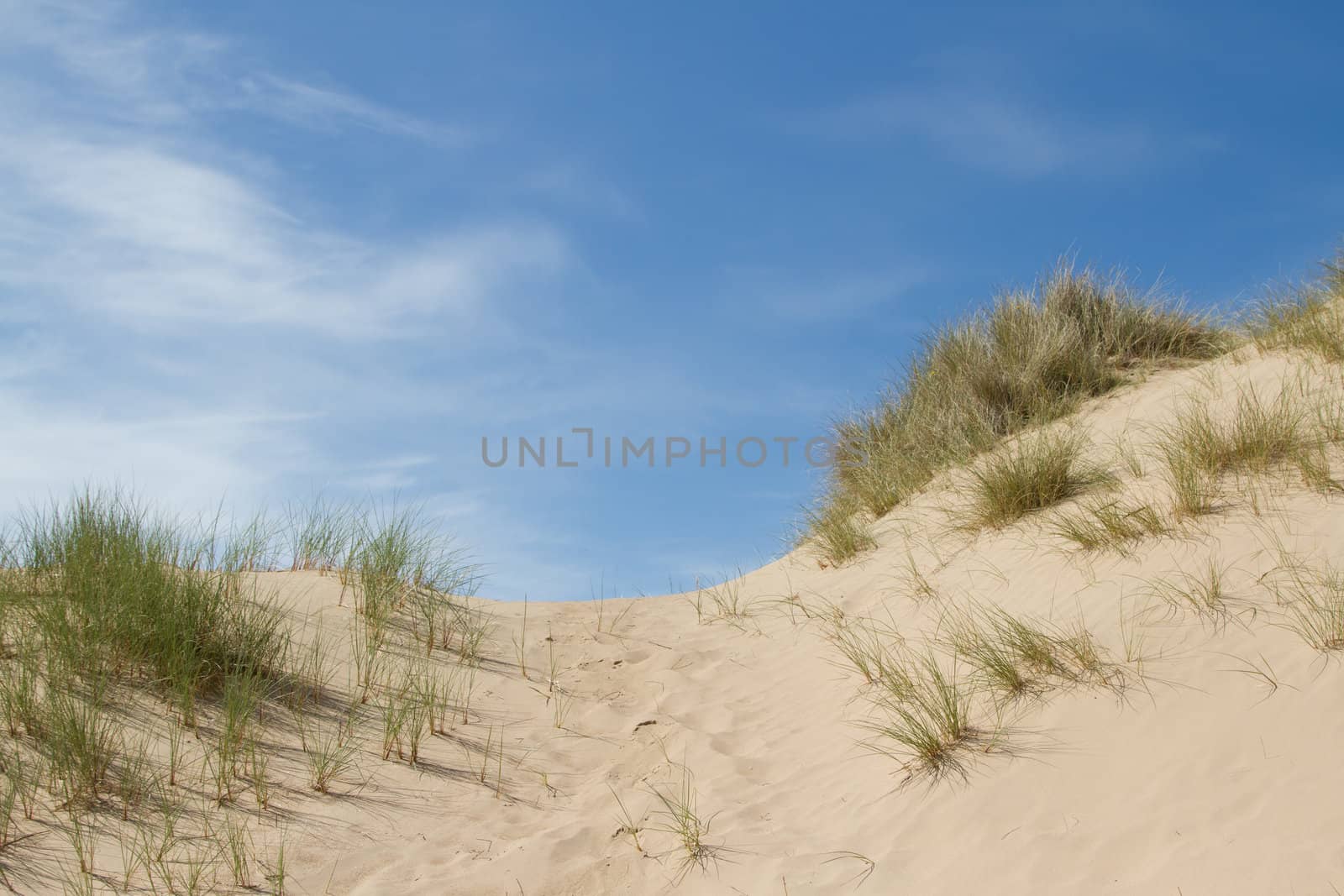 A sand dune on a sunny day with grasses against a bright blue sky with cloud.