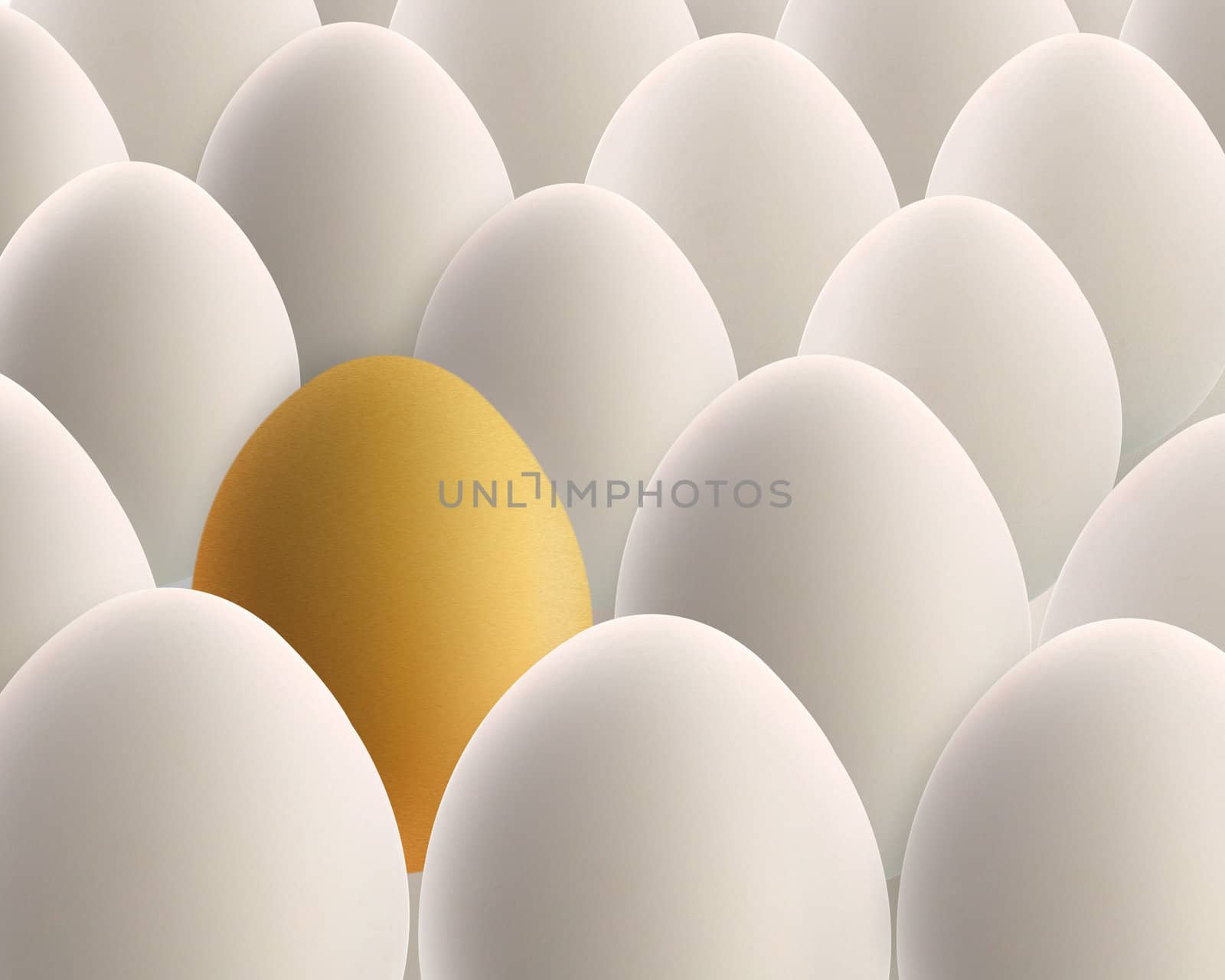 unique golden egg between white eggs by designsstock
