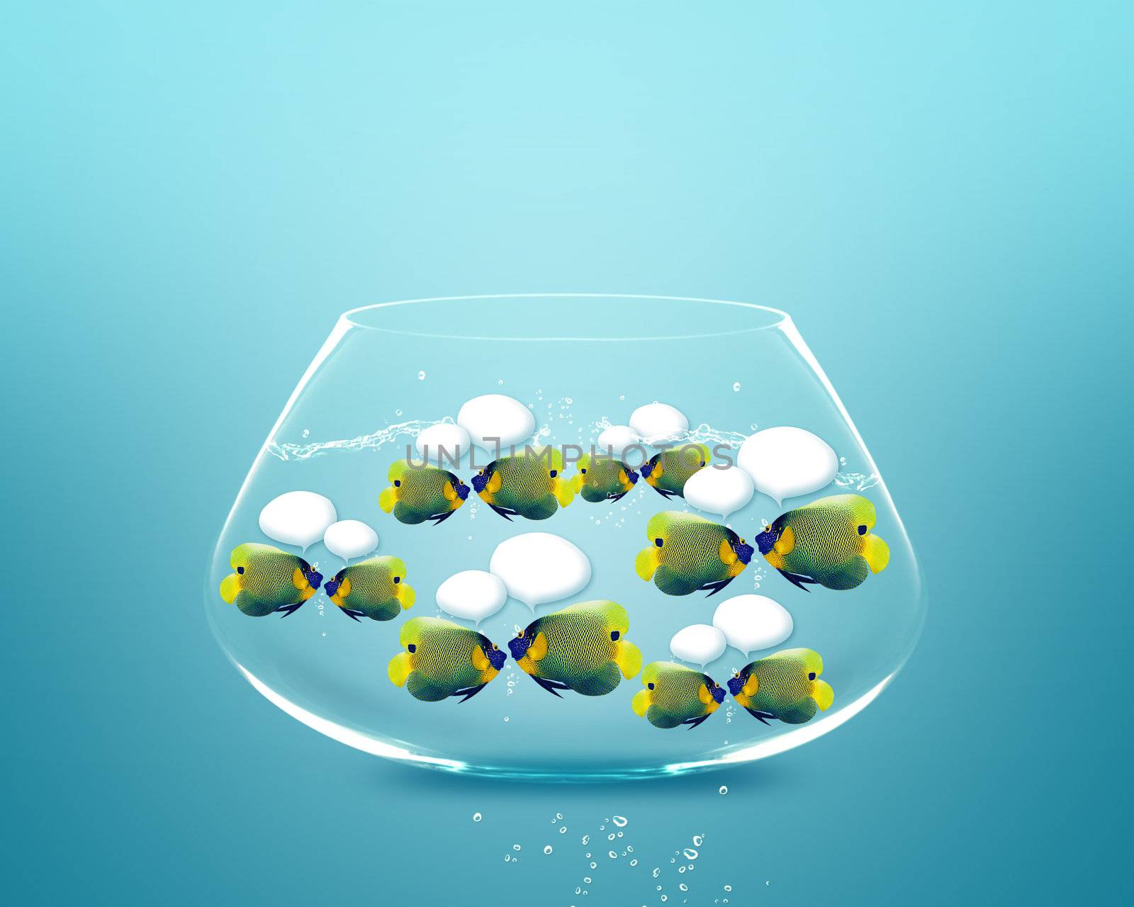 Happy school of angel fish angelfish faces as social network with speech bubbles.