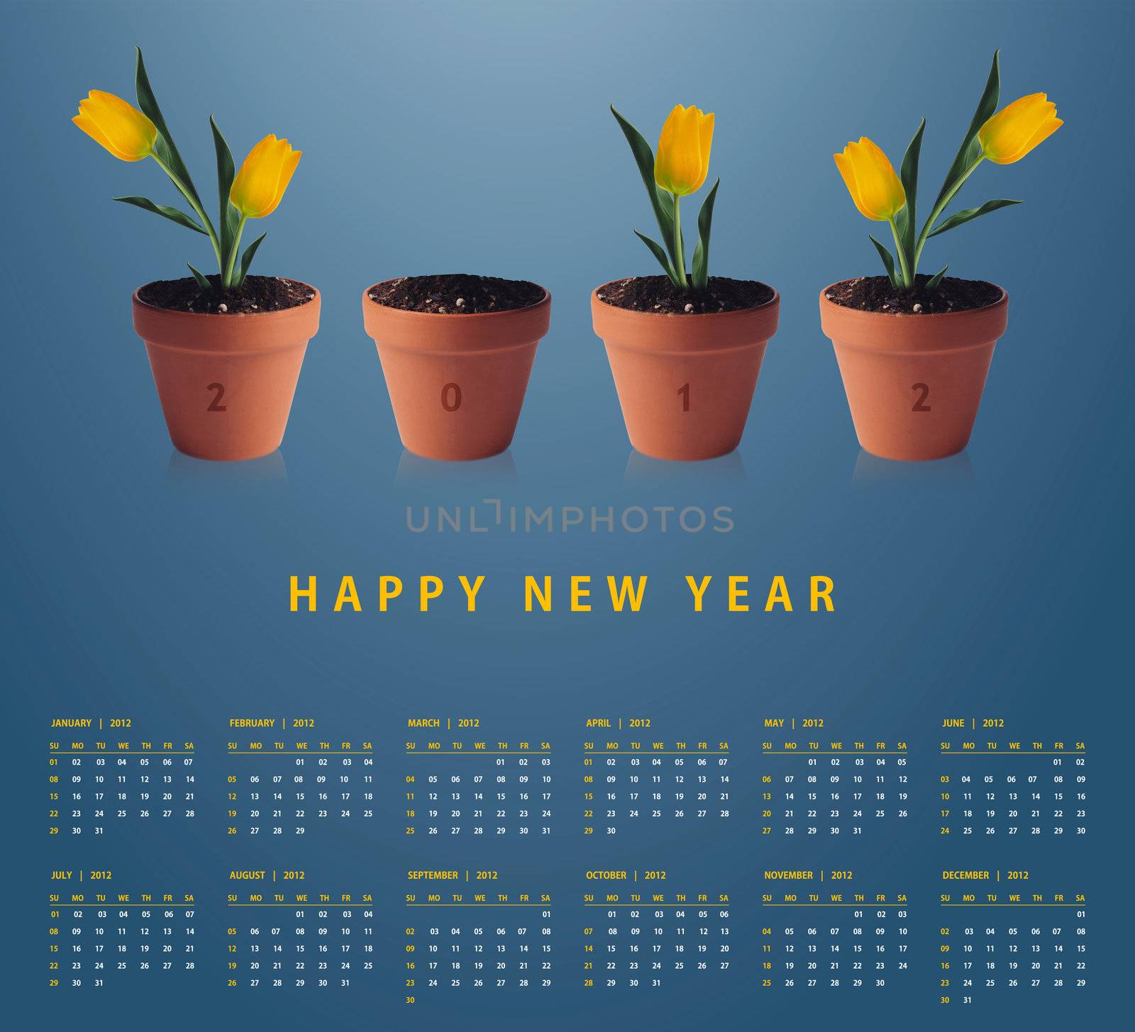 New year 2012 Calendar with conceptual image of yellow tulip in container