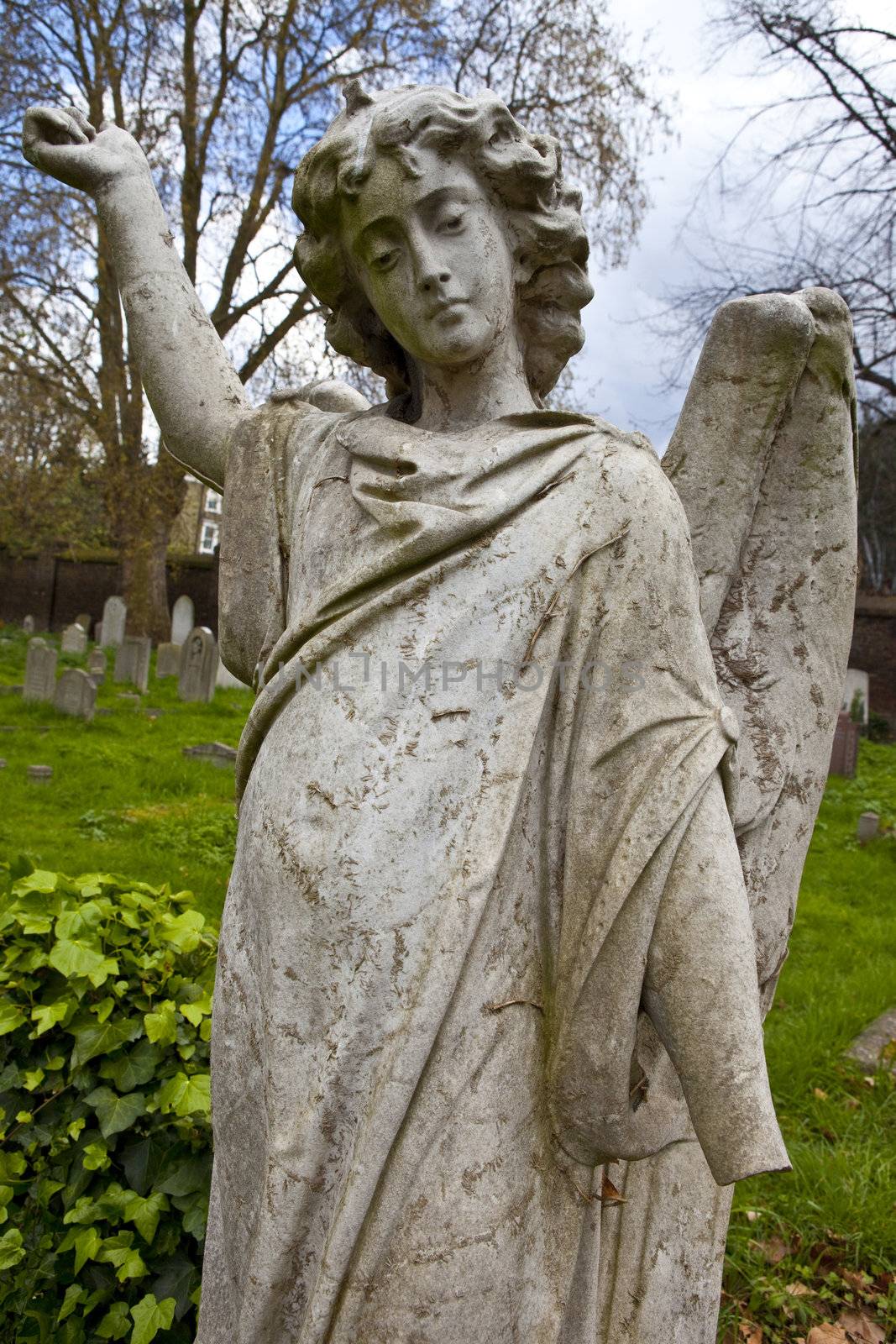 Brompton Cemetery in Chelsea, London.