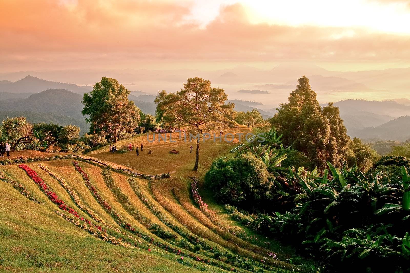 Landscape on a mountain in Chiang Mai.