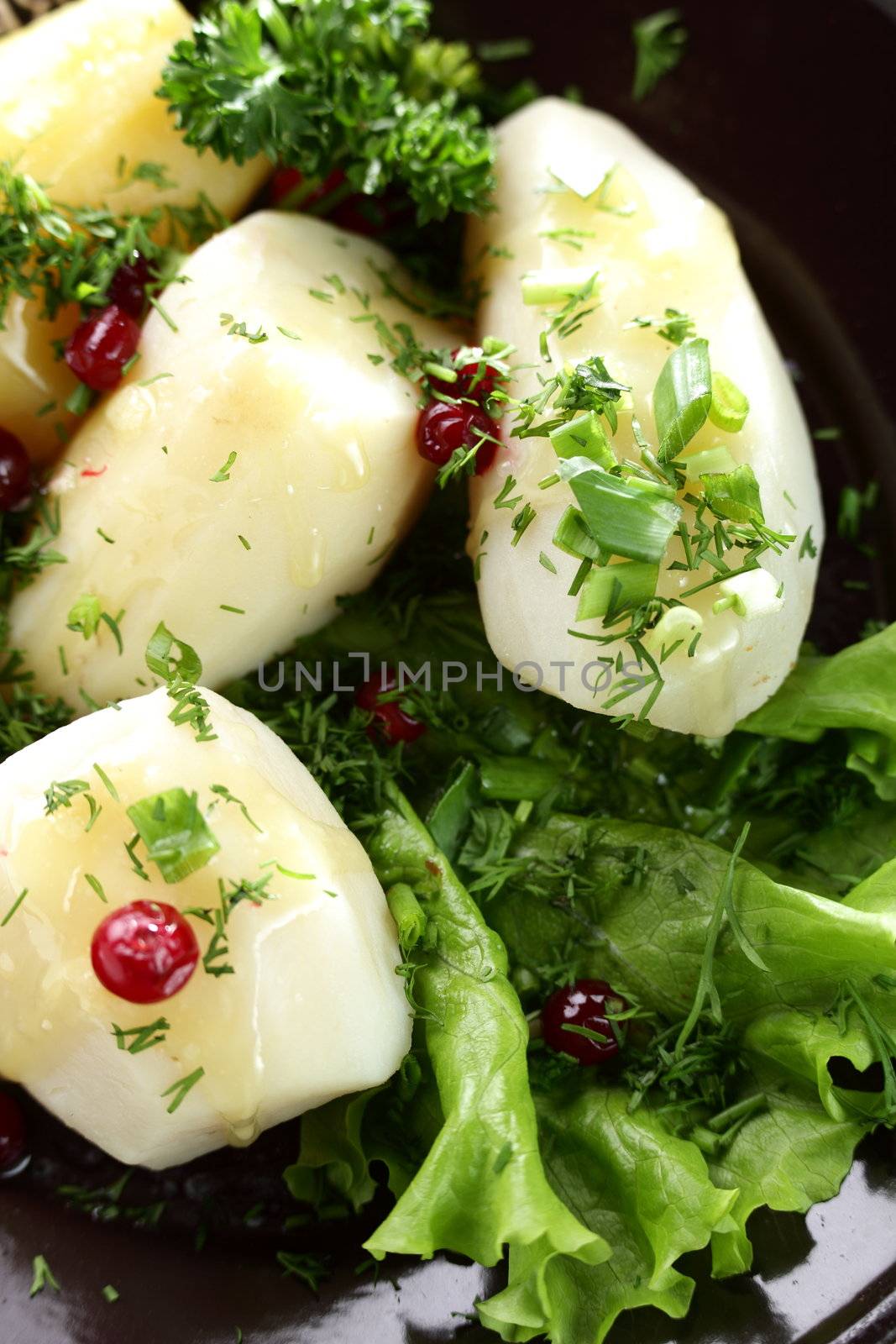 fresh and tasty salad on the table