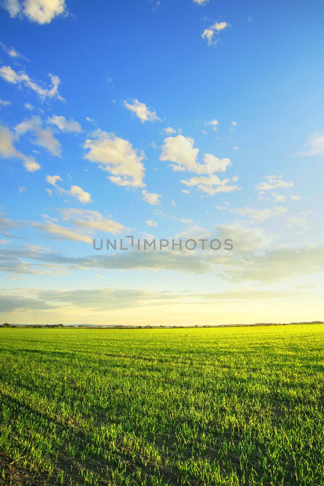 Spring, nature or agriculture concept: Sunrise over a newly planted fields beautiful, dramatic HDR rendering.