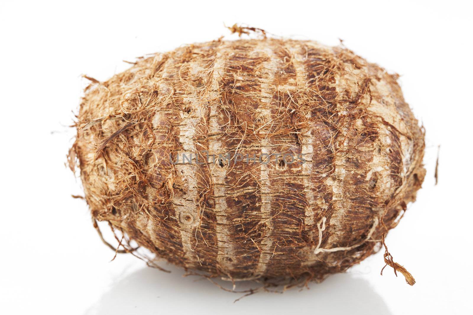 Eddoes vegetable thought to have been developed in China and/or Japan.  Similar to the Taro