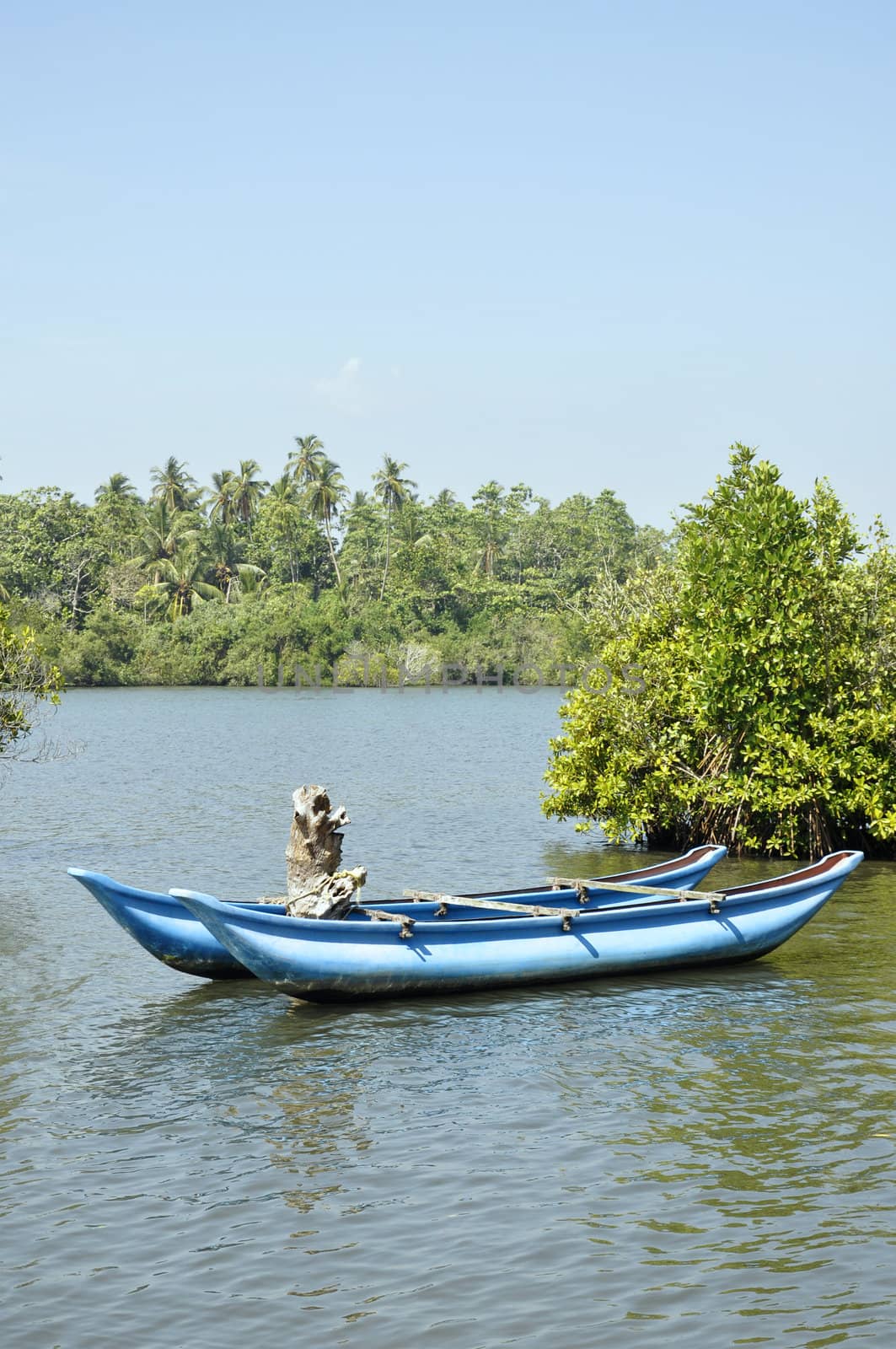 A bright blue boat beautifully stranded on a lake surrounded by palm trees in Sri Lanka