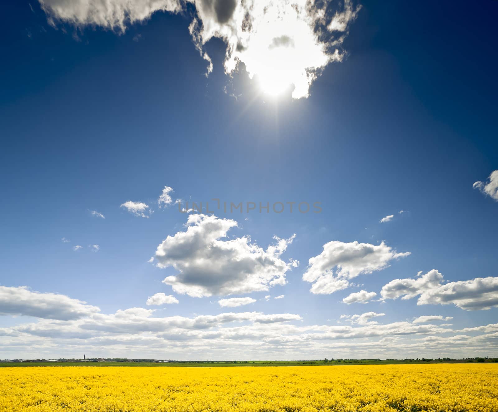 Sunshine and clouds over yellow rape field