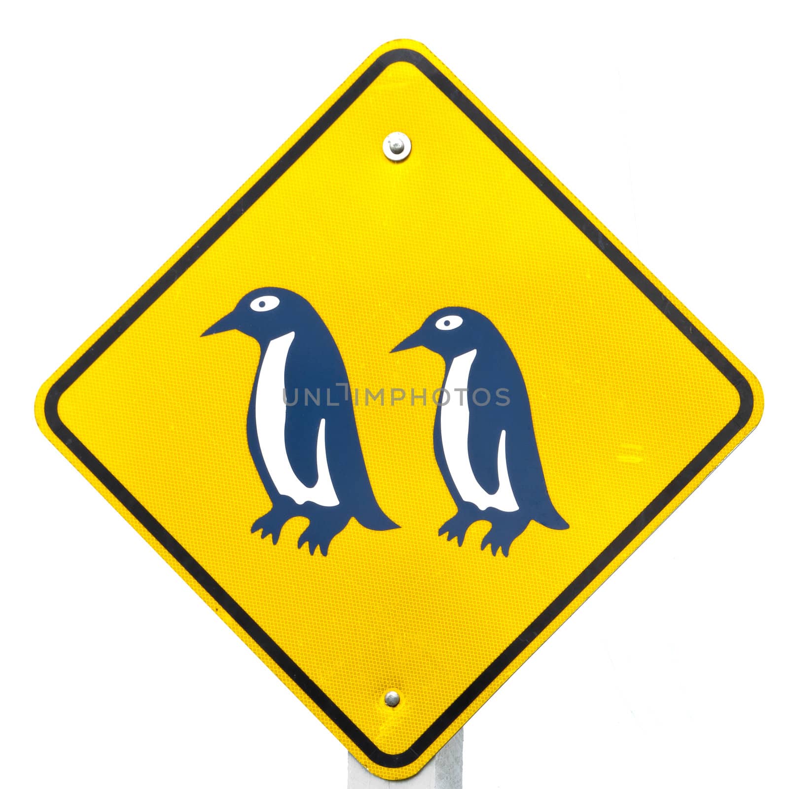 Attention Blue Penguin Crossing Road Sign by PiLens