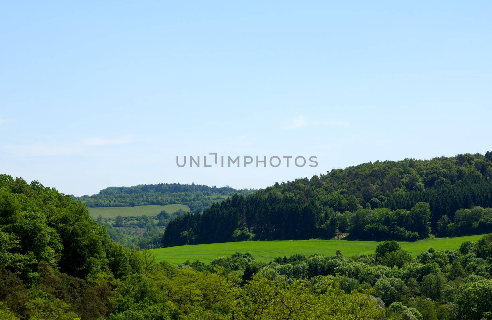 Green landscape in the eifel (germany) europe