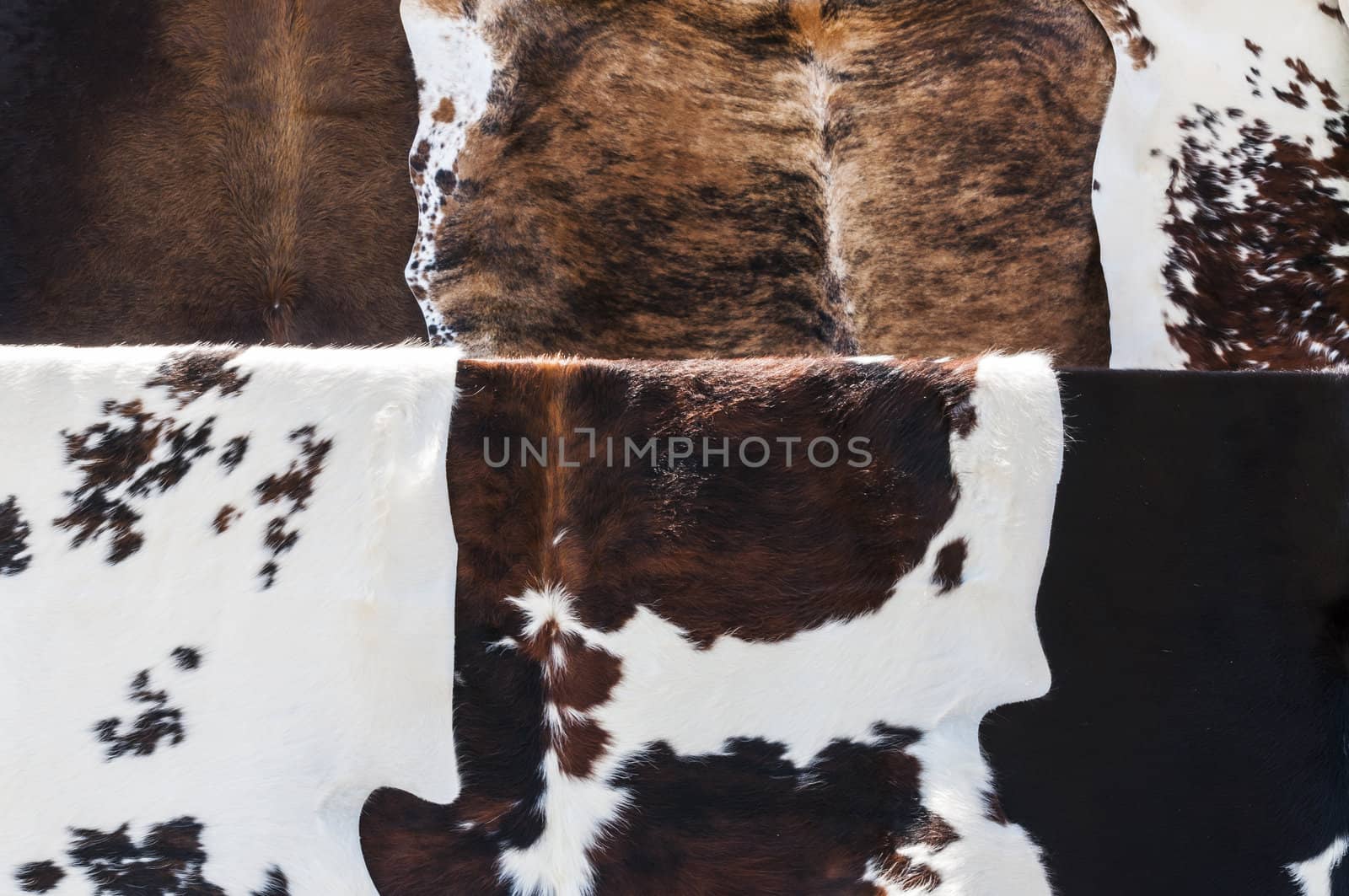 Detail of six cow hides with different patterns.