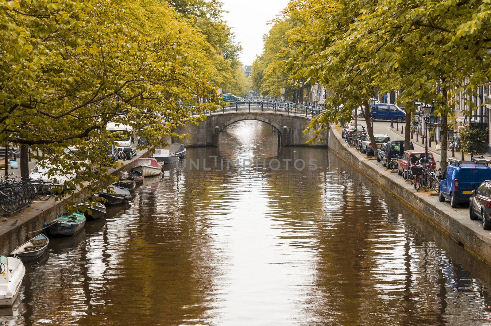 Trees lined canal in Amsterdam, Holland, with yellow leaves.