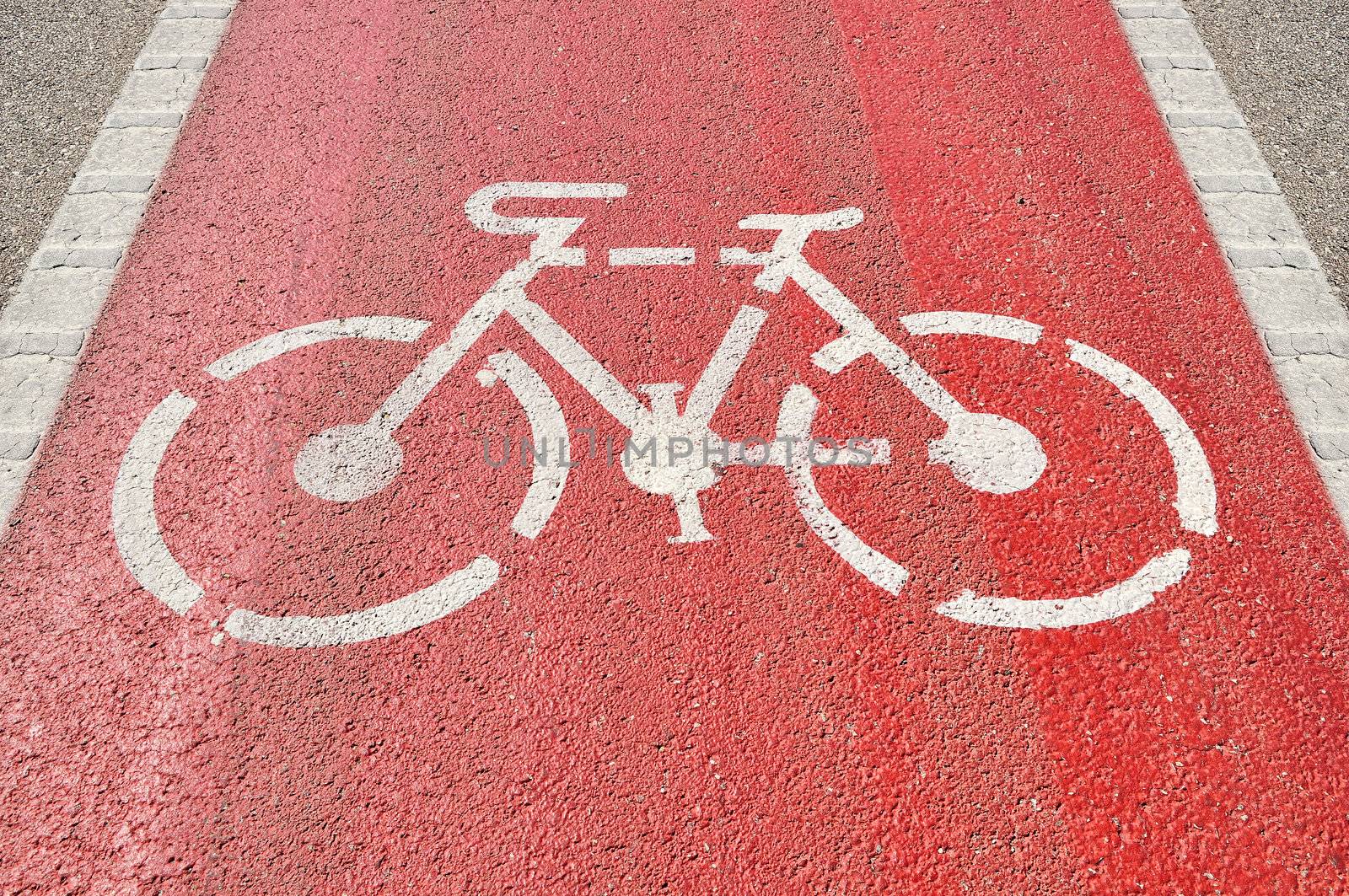 Bicycle Lane by ruigsantos