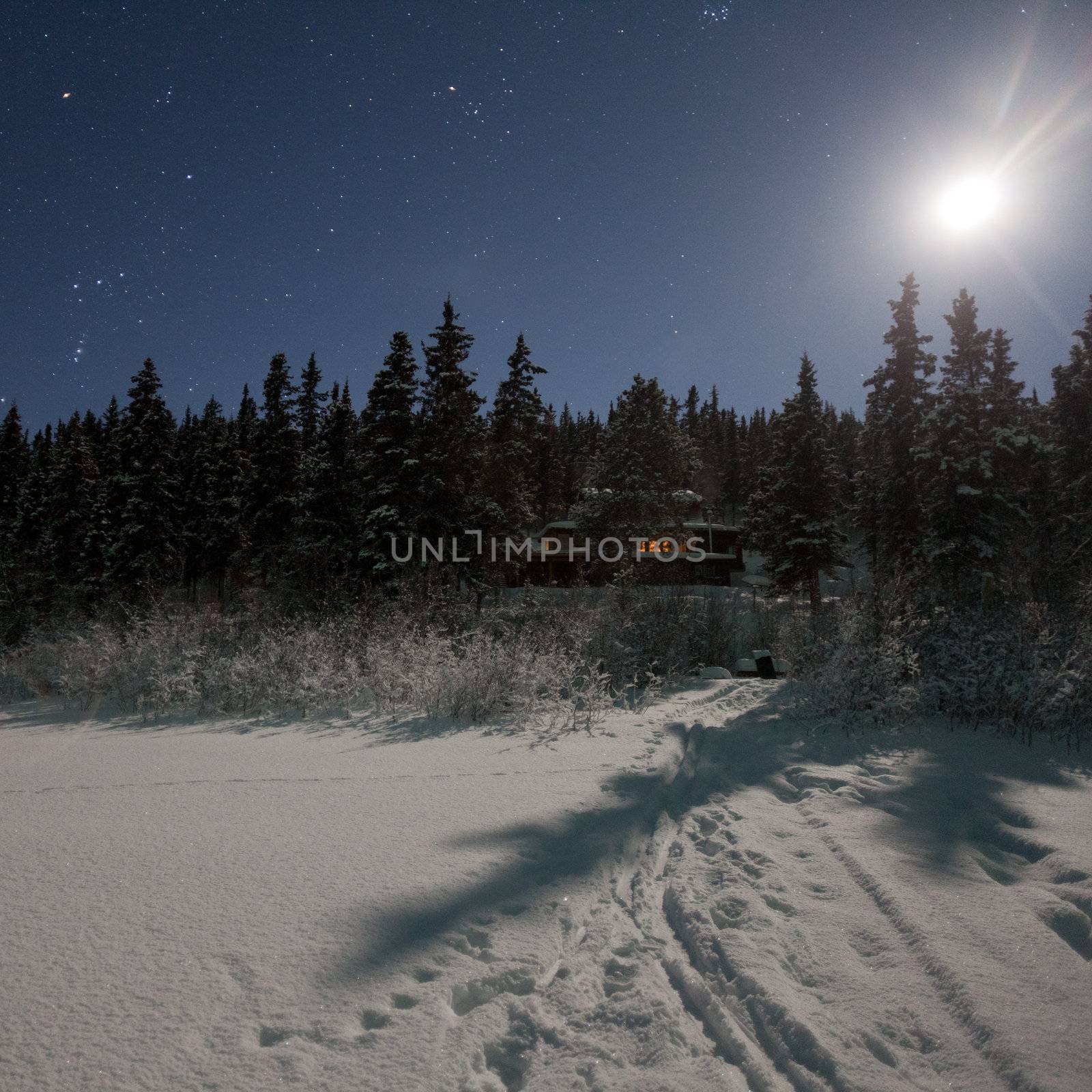 Cottage in moon lit winter wonderland by PiLens