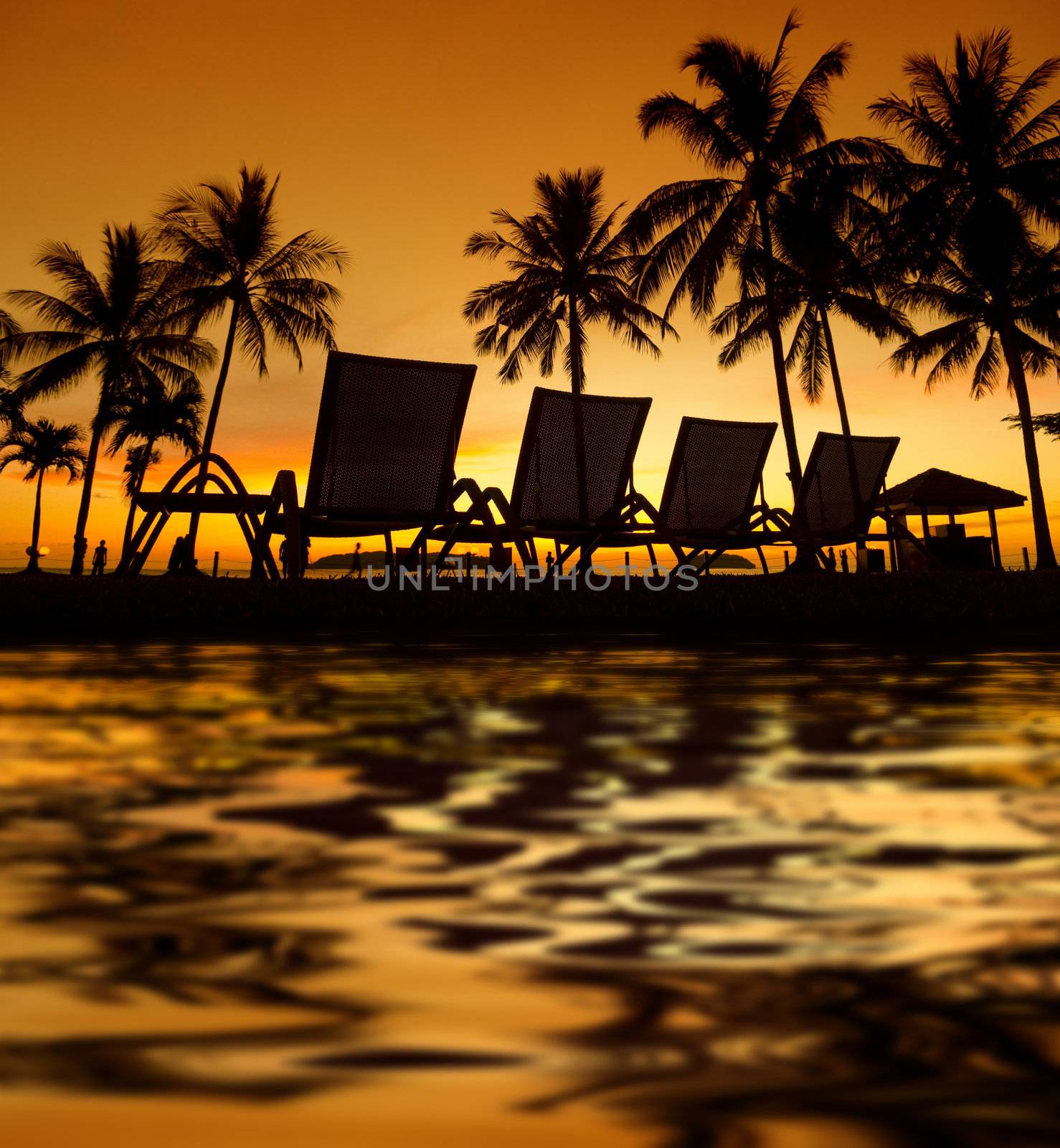 Row deckchairs with water reflection on beach at sunset, Tanjung Aru, Malaysia.
