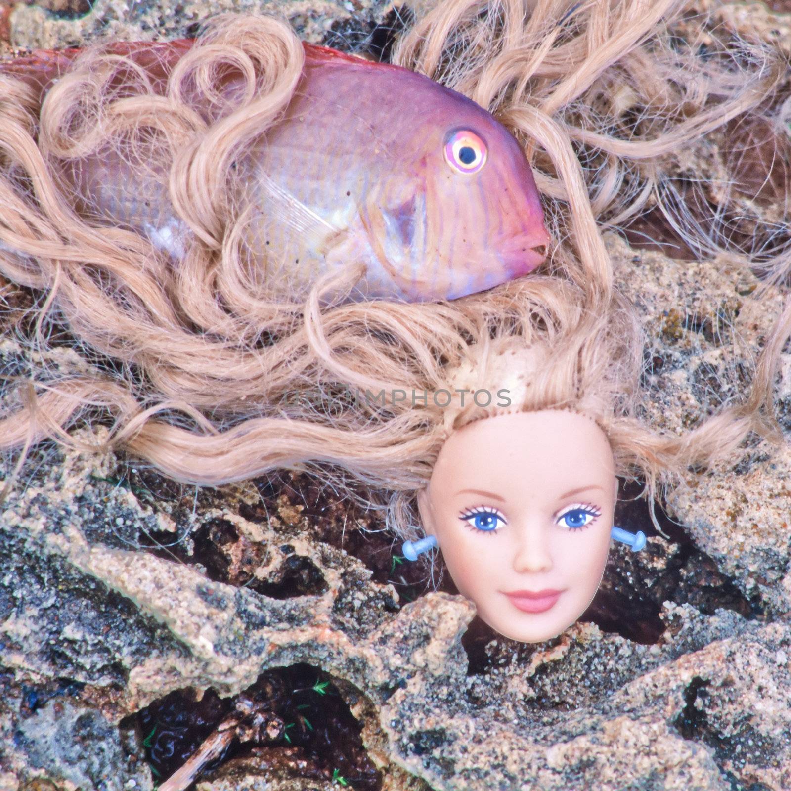 Nightmare concept: Blond doll head flotsam washed on rocky shore with slimy red fish in her hair.