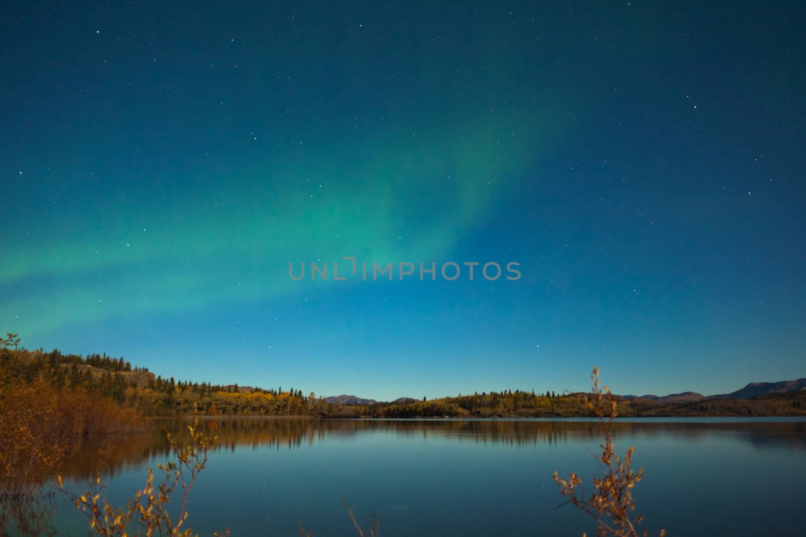 Northern lights (Aurora borealis) in moonlit night over Lake Laberge, Yukon, Canada, in fall.