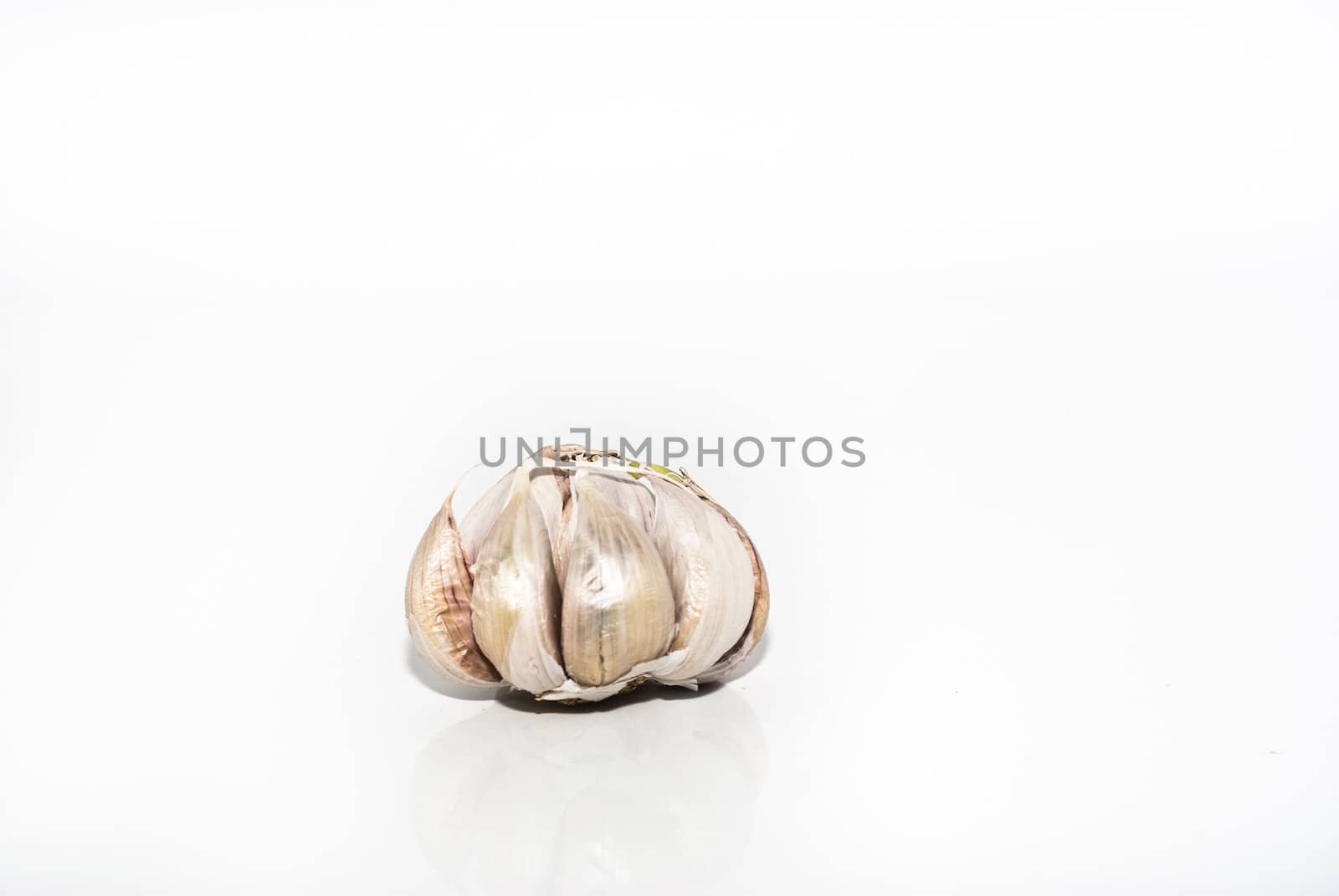 Garlic isolated on white background by gandolfocannatella
