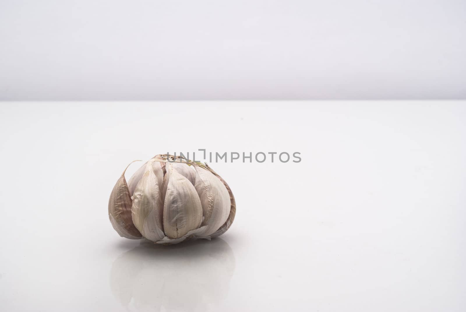 Garlic vegetable closeup isolated on white background