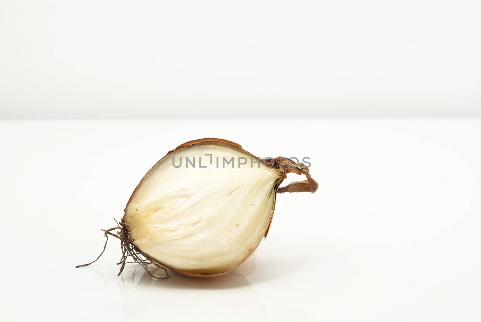 Fresh bulb of onion on a white background.