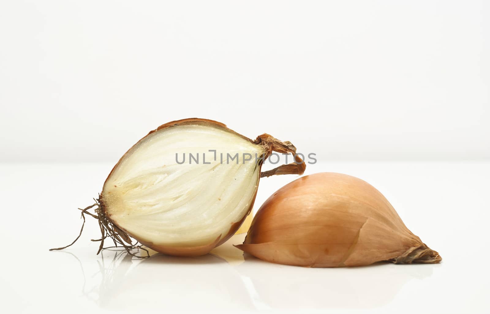 Fresh bulbs of onion on a white background.