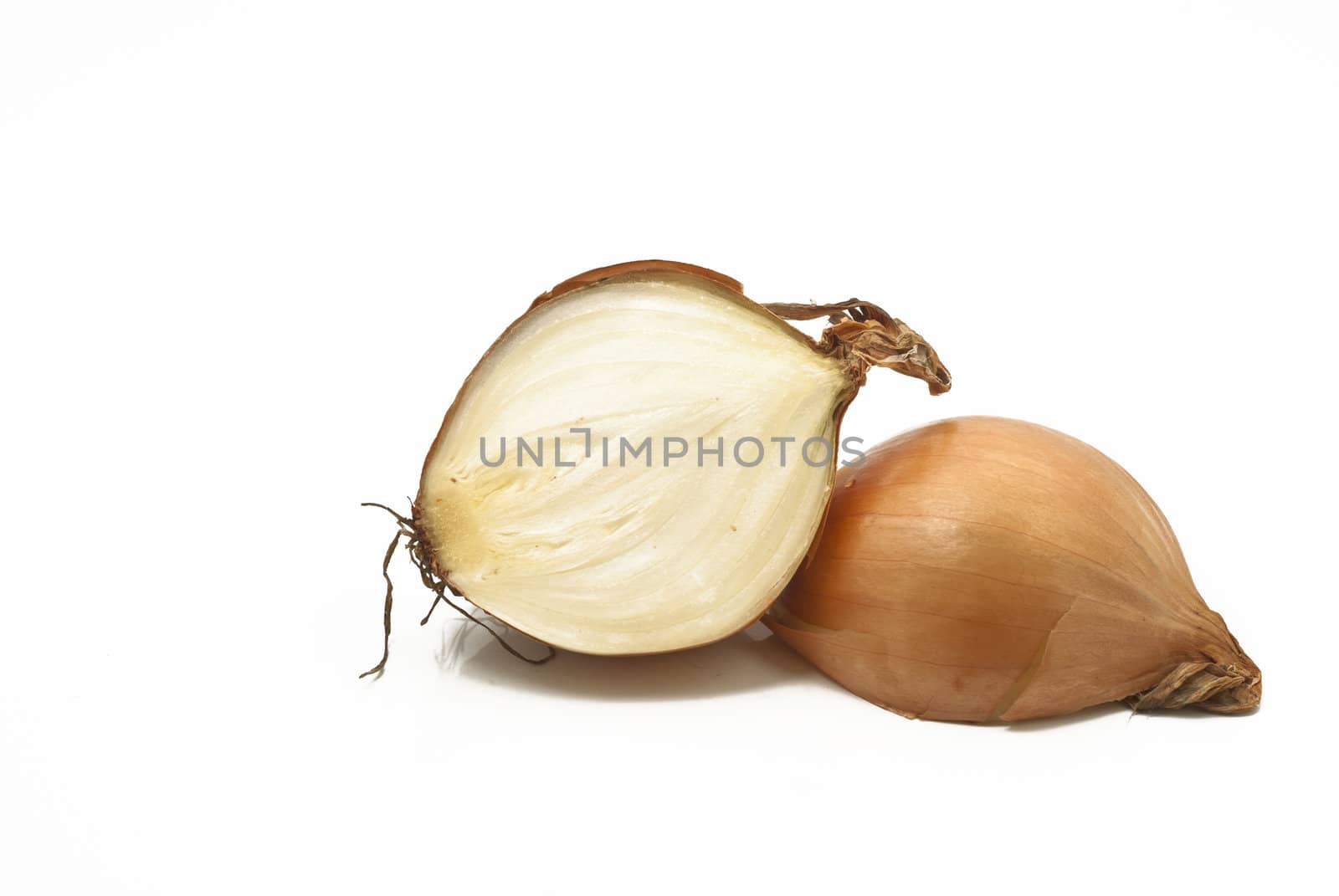 Fresh bulbs of onion on a white background.