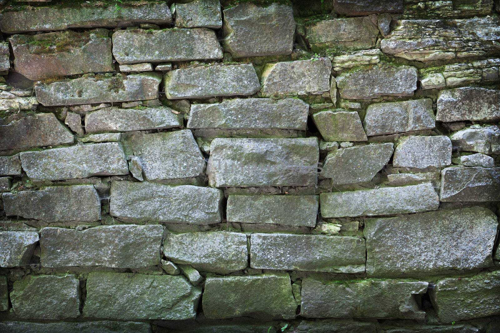 Masonry, green with moisture - the background