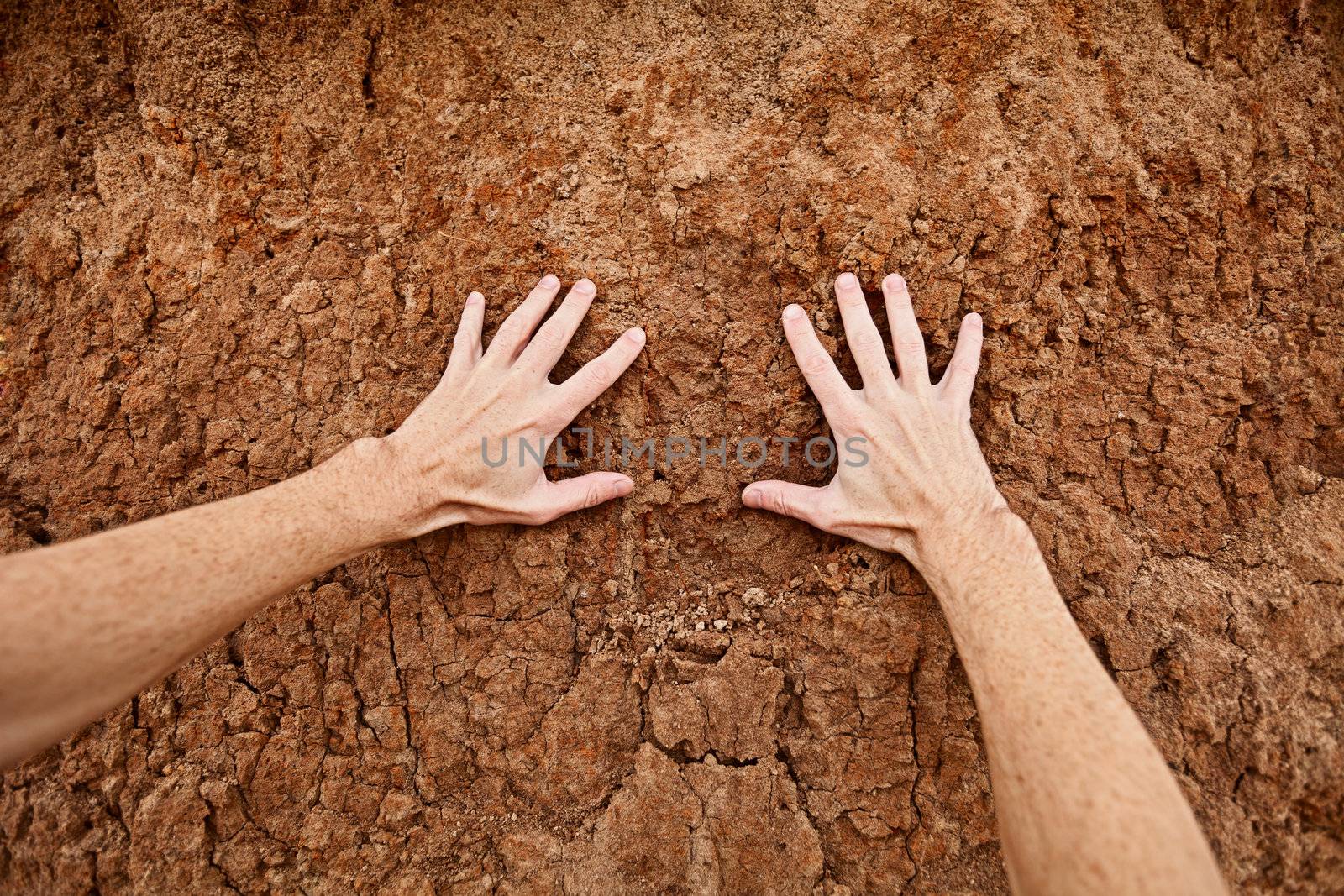 Hands touch the dry clay soil