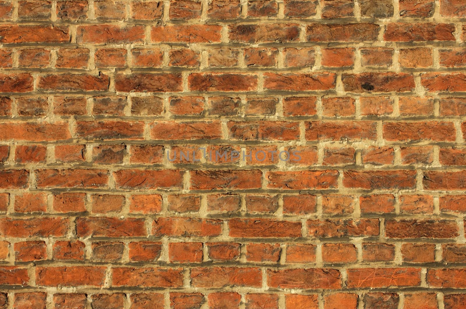 Cracked dirty brick wall background shot in the warm light of the sunset.