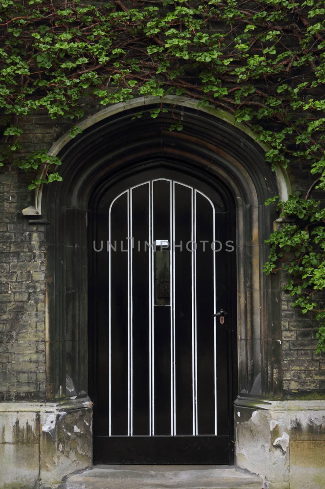 Typical Old English Entrance door with ivy by kirilart