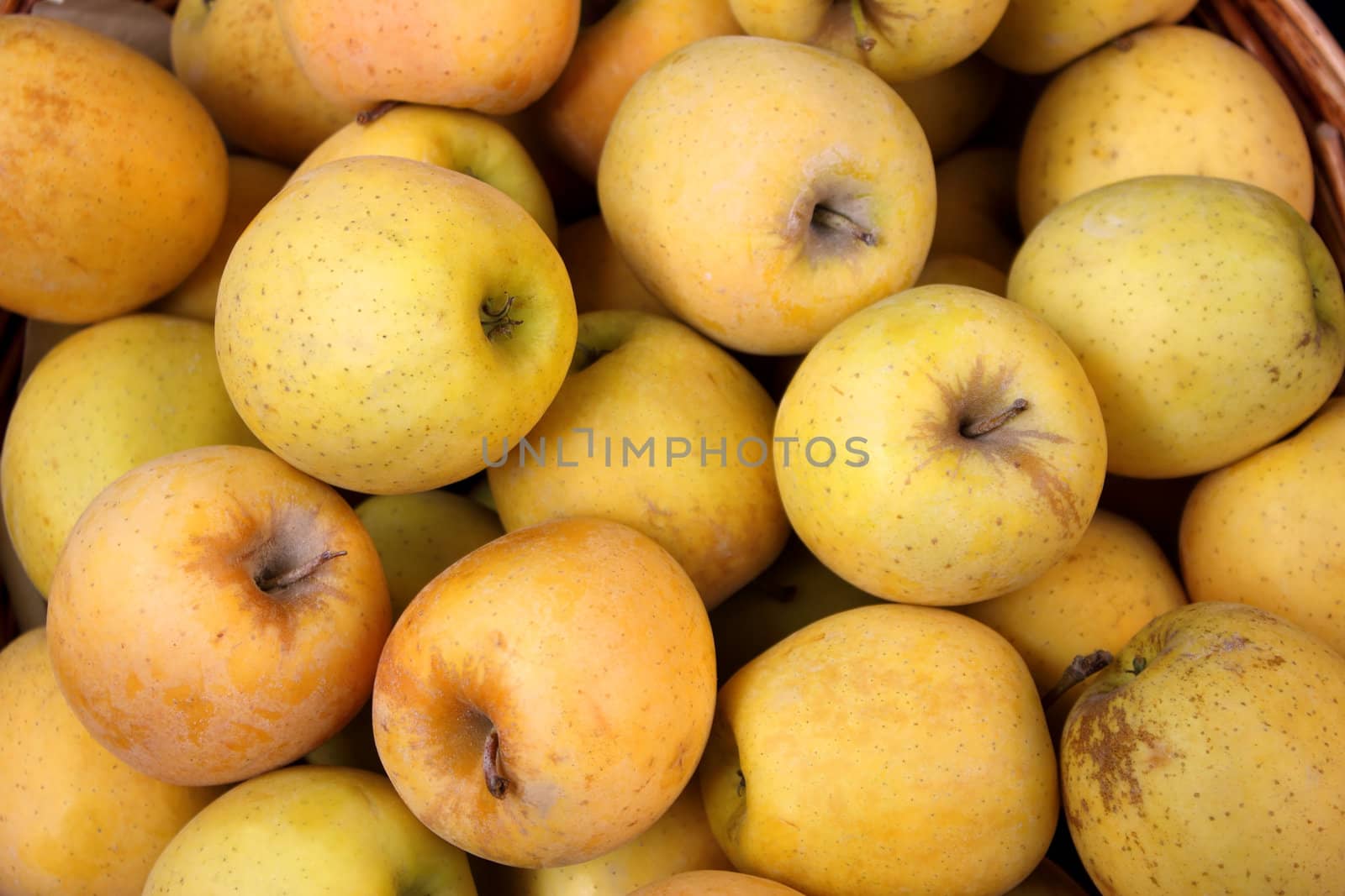 Golden Apples in a Basket by kirilart