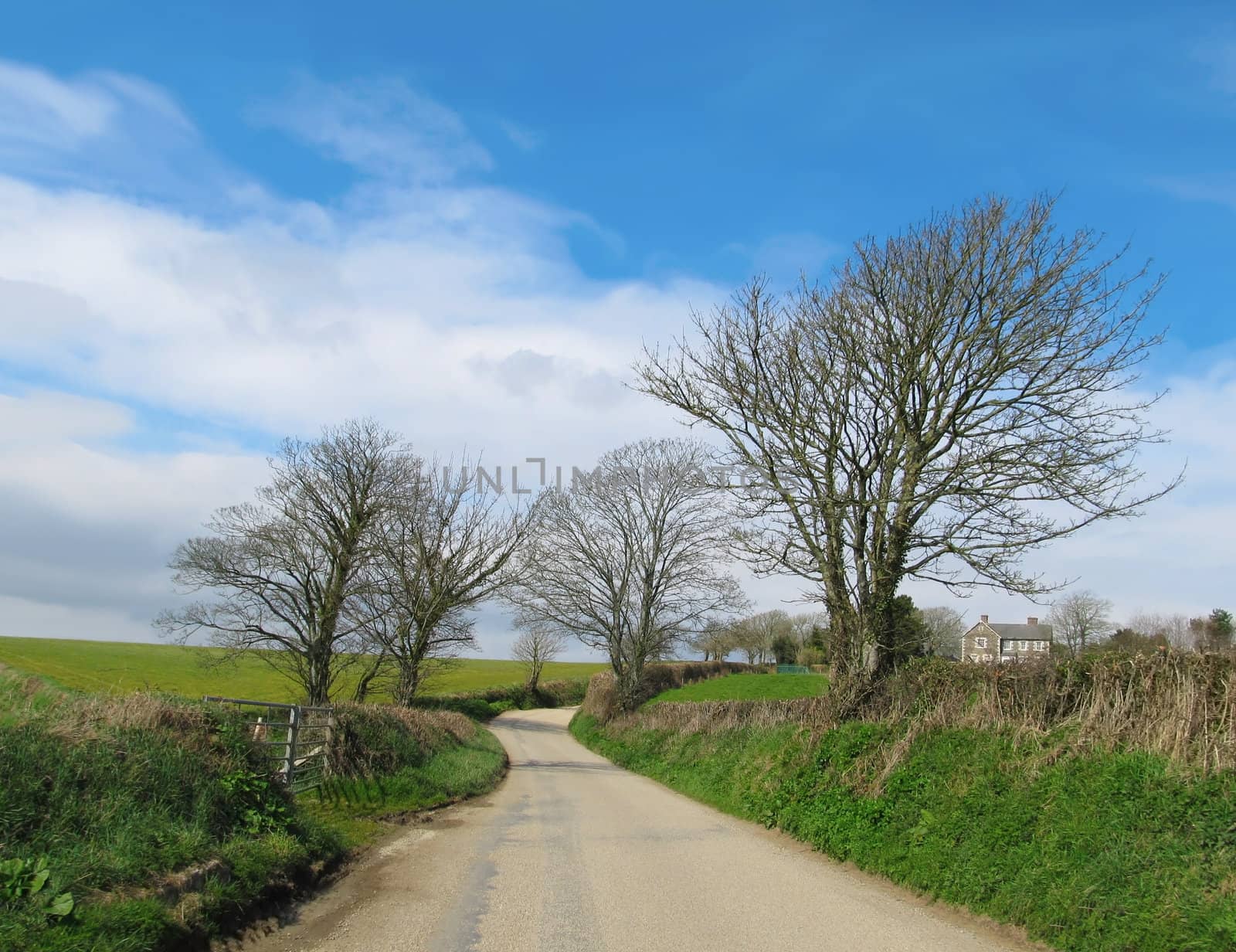 Small country road in Southern part of Cornwall, United Kingdom.                               