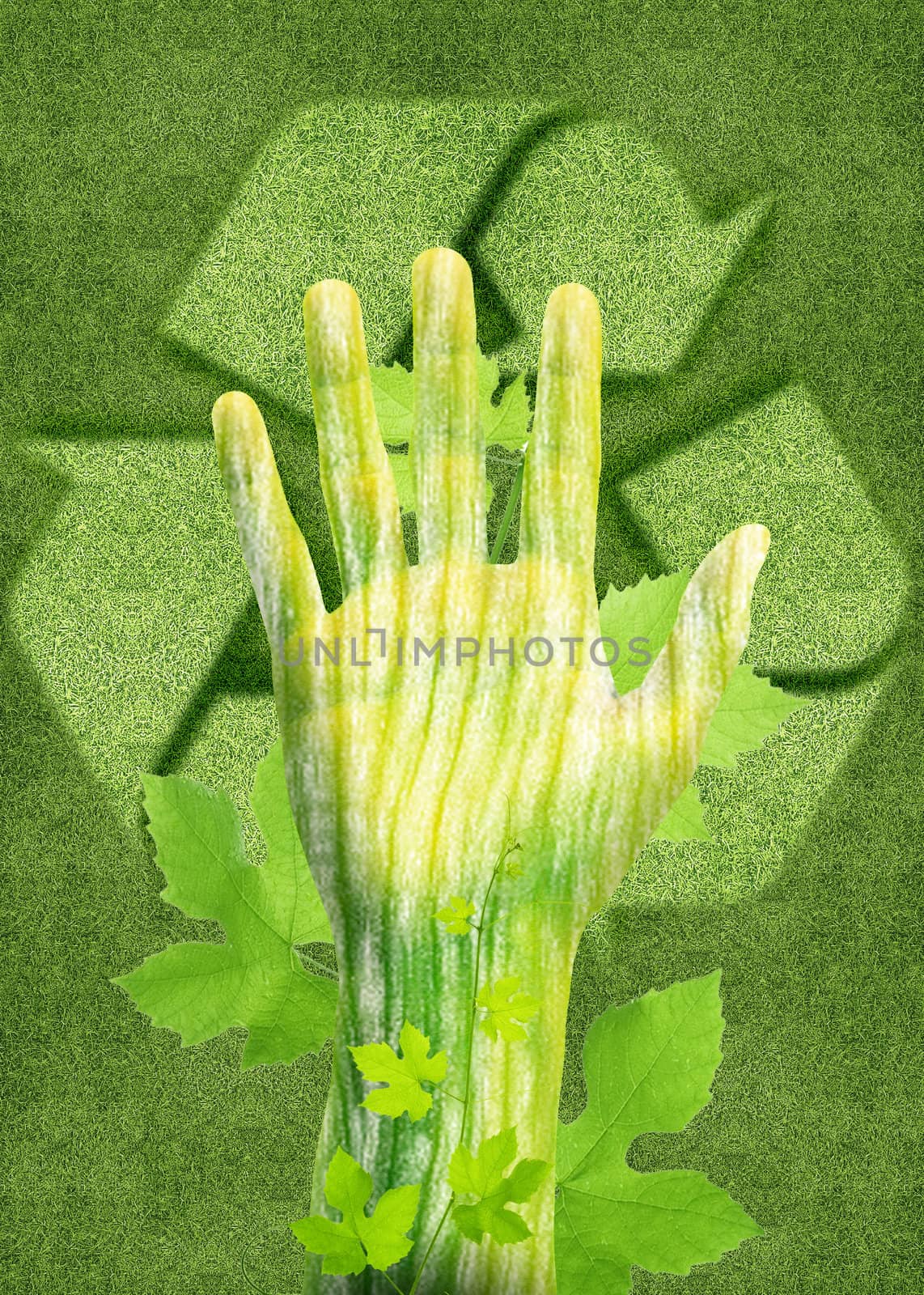 ecology concept, Green hand out of land as a tree with leaf.