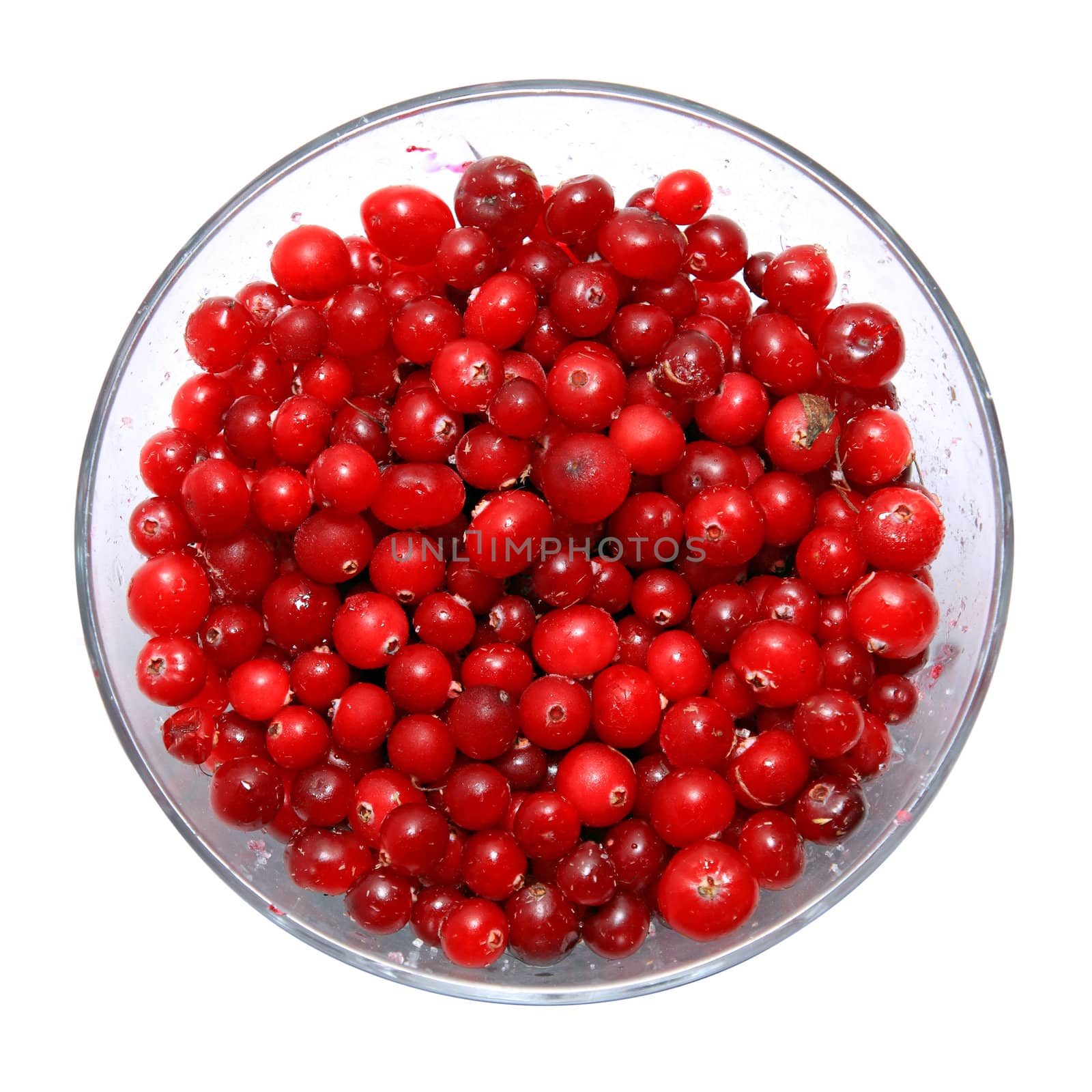 cranberry in plate on white background by basel101658
