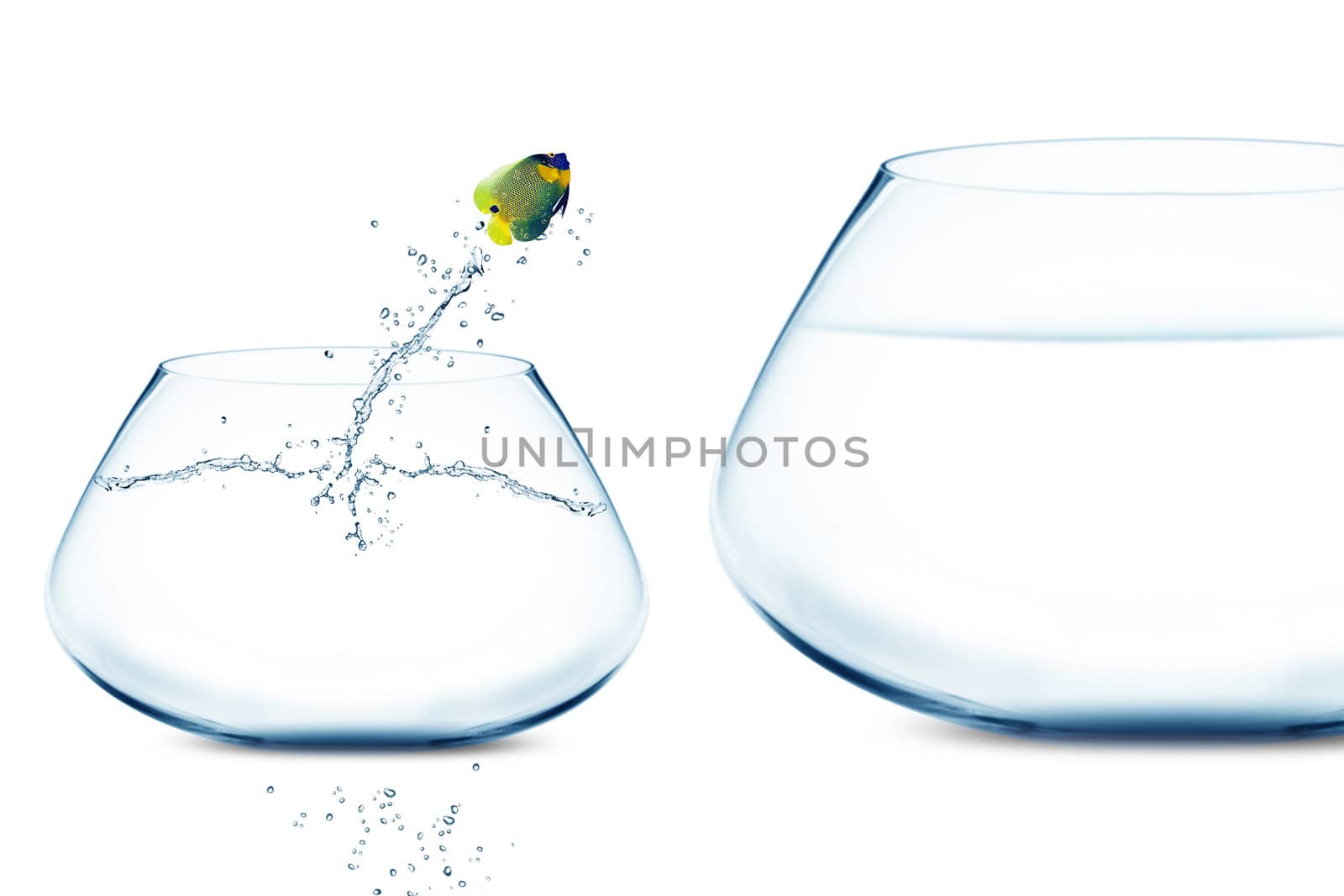 Anglefish jumping into bigger fishbowl by designsstock