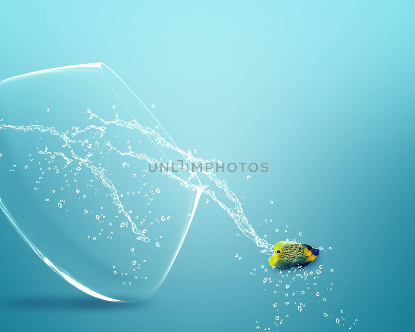 angelfish jumping out of fishbowl.