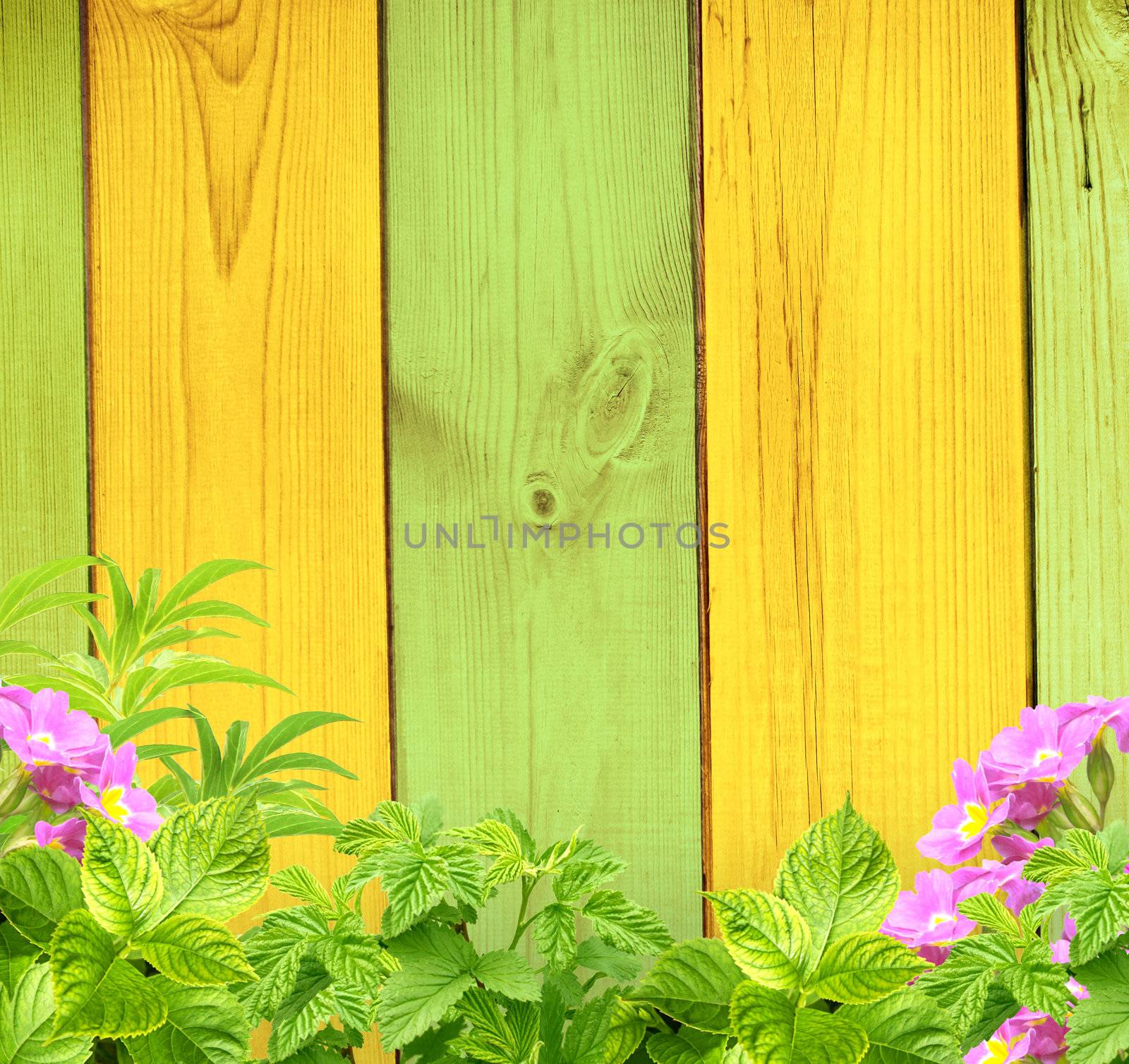 Summer background with old wooden fence, flower and green leaves