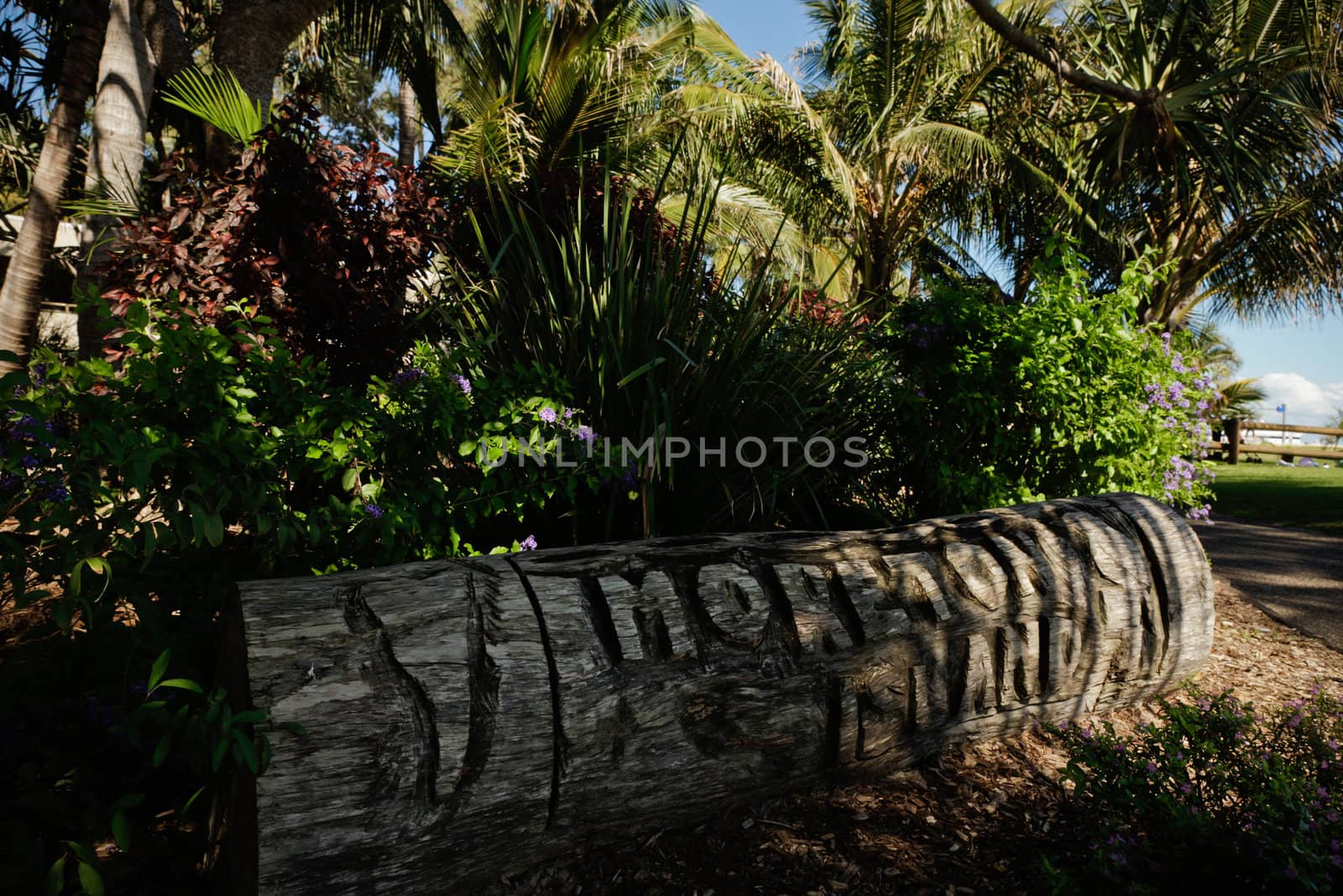 Close up view of beach garden isolated on