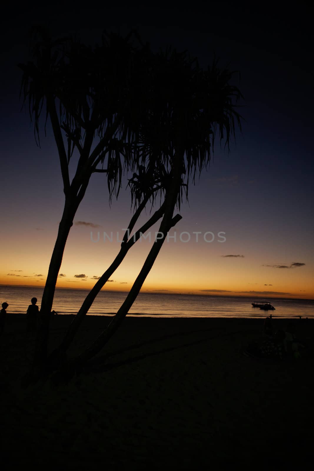 Colourful tropical ocean sunset with people and trees silhouetted on the shore against its golden glow