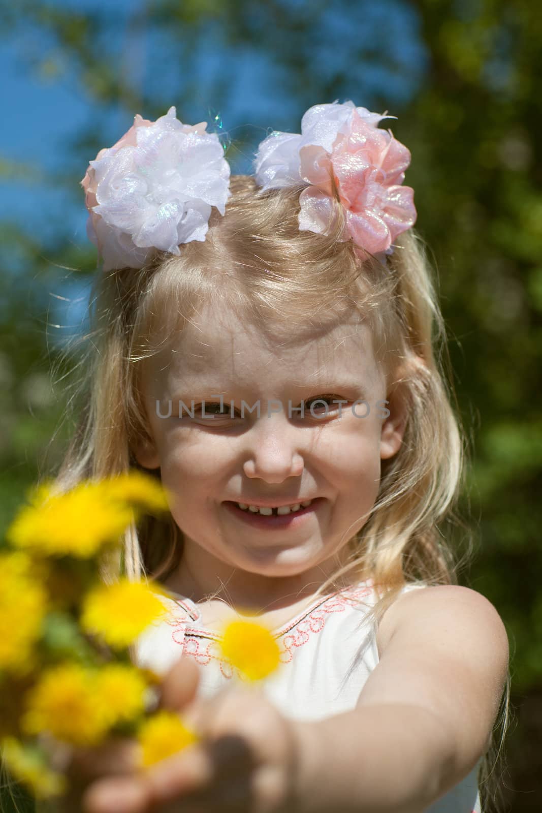 a small beauty with dandelions