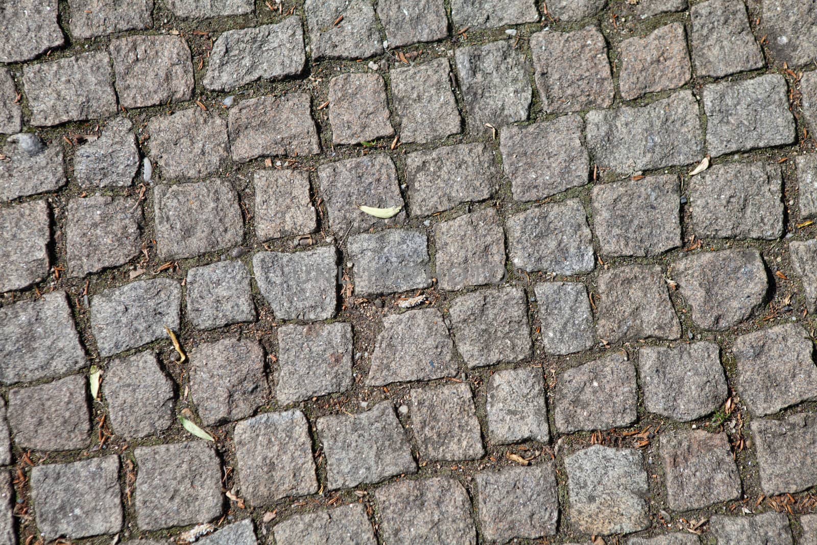 Old Pavement as a background