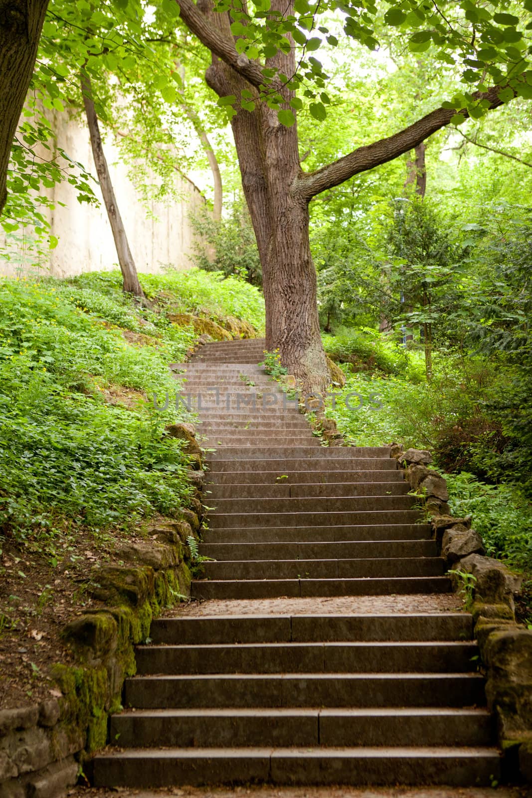 stone stairs on sunlight in the park 