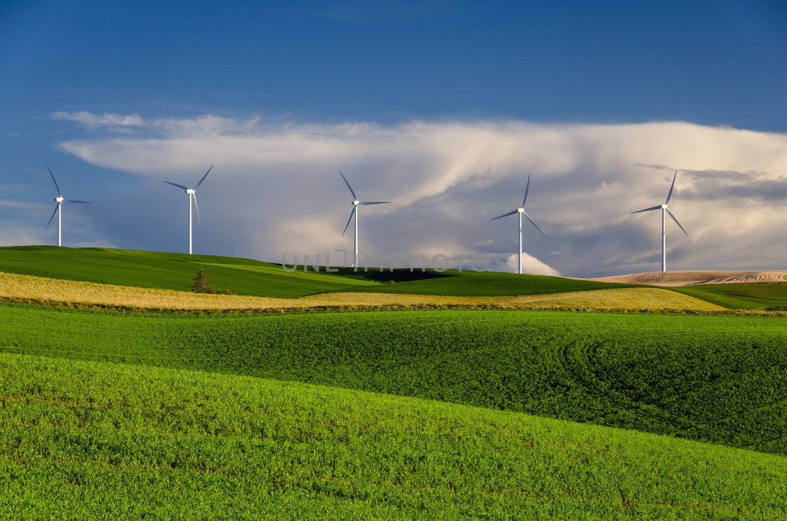 Wind Turbines and green fields, Columbia County, Washington, USA by CharlesBolin