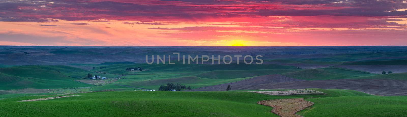 Sunset and green hills, Whitman County, Washington, USA