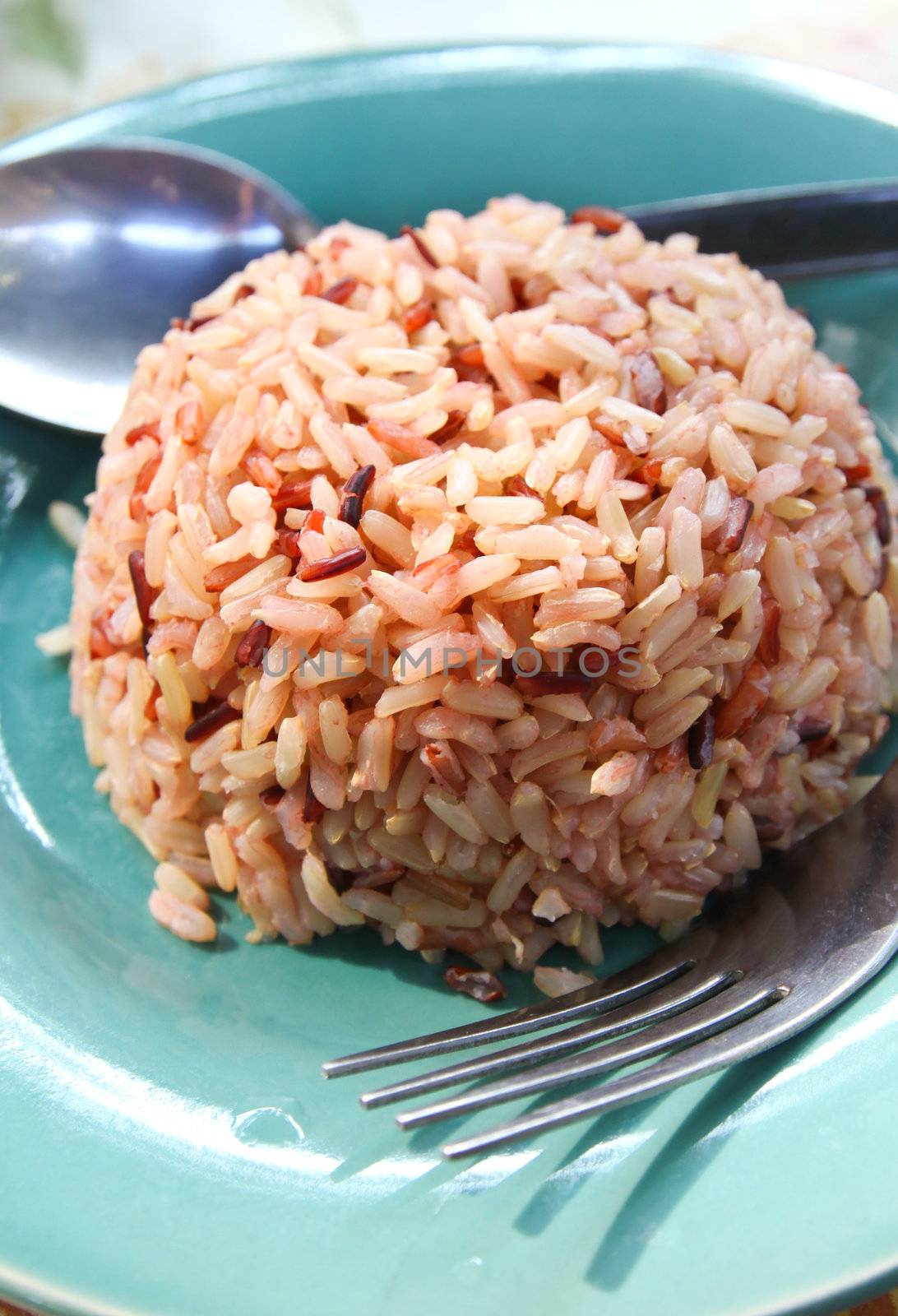 Plate of brown cooked rice  by nuchylee