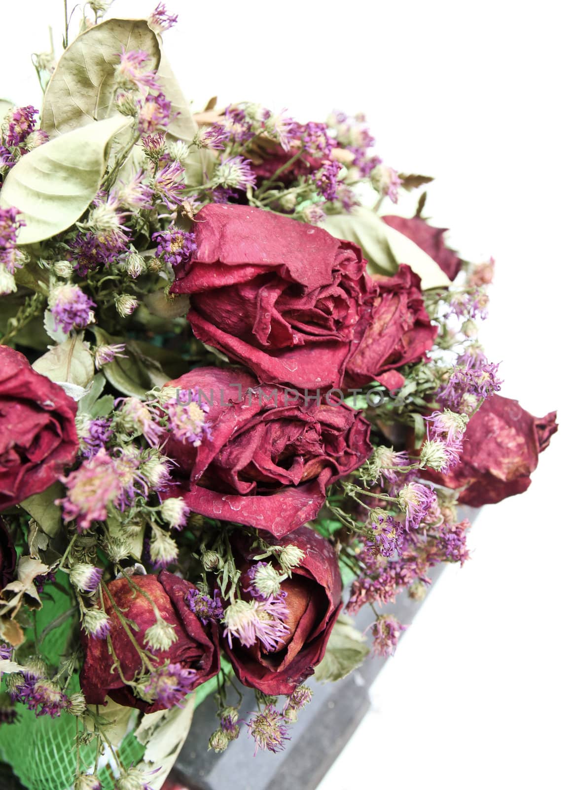 bouquet of dried roses on white background