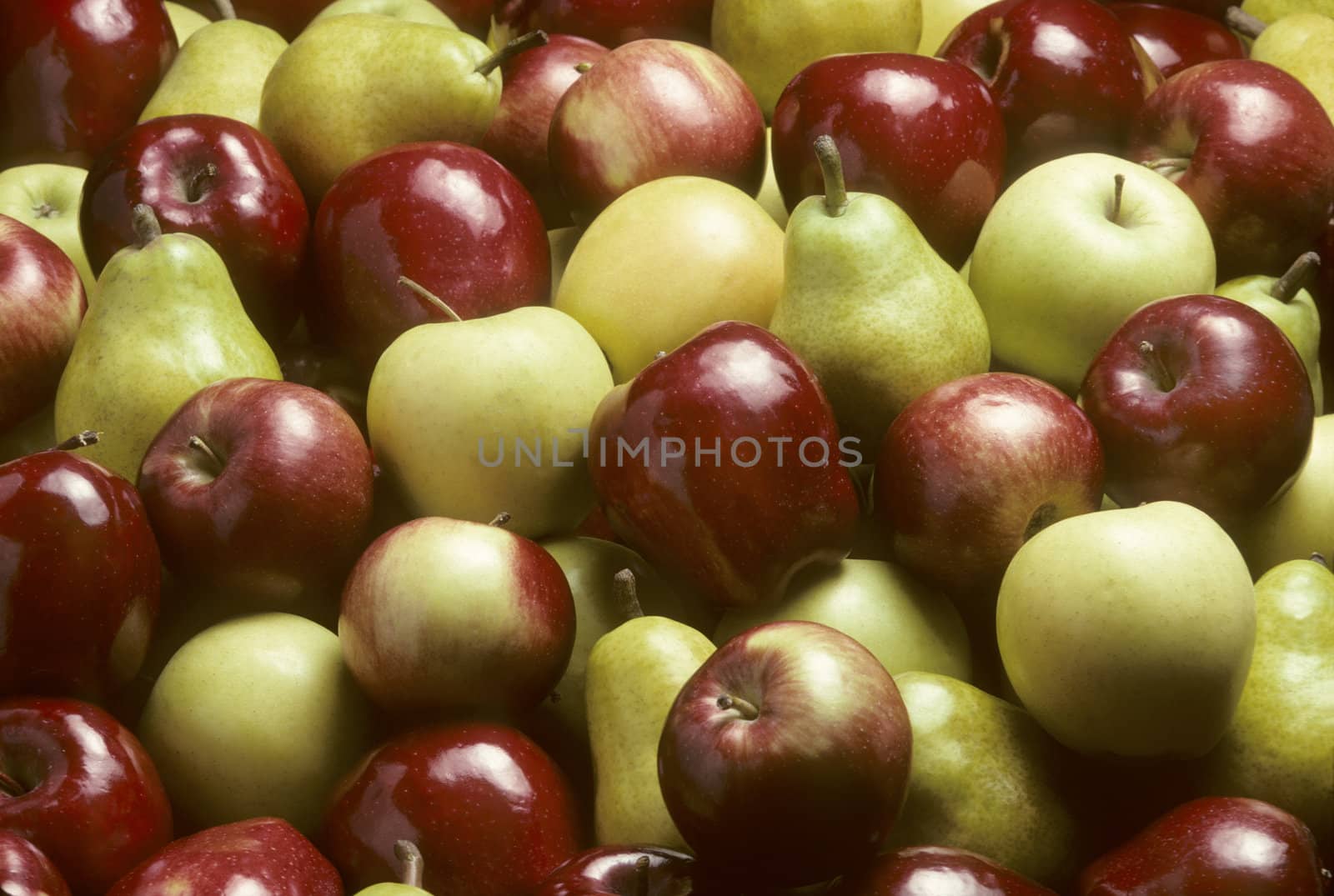 Pile of mixed pommefruit including a variety of apples and Bartlet pears