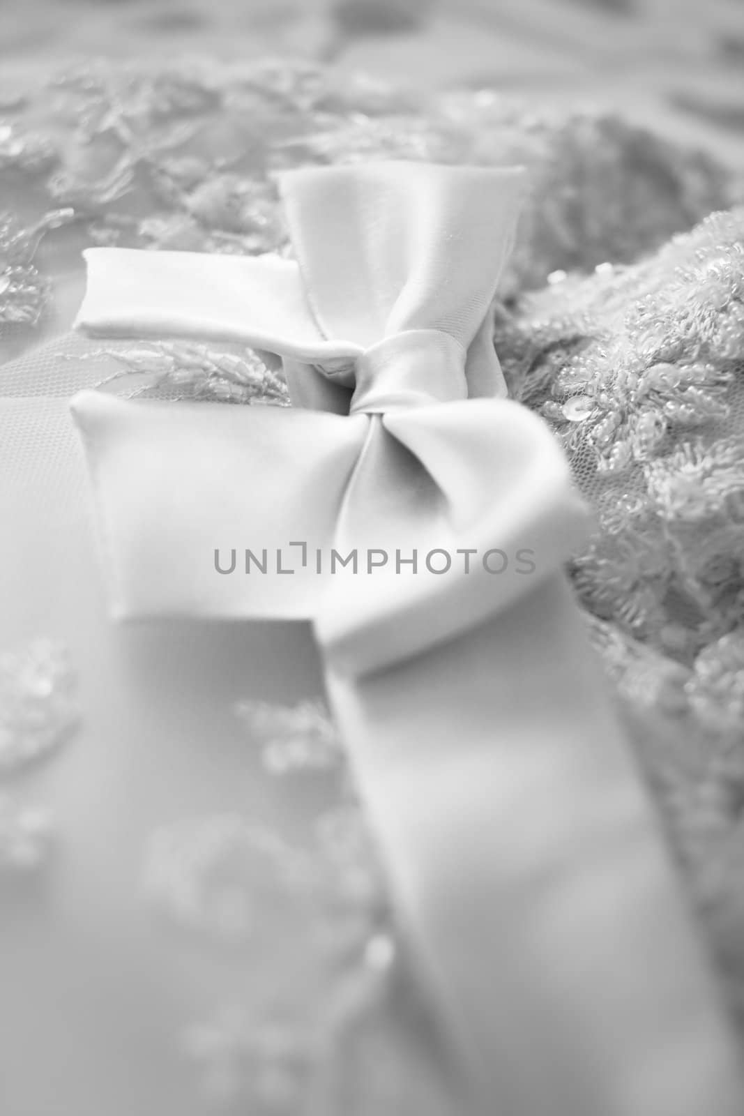 A close up of a bridesmaid dress with a large silk bow