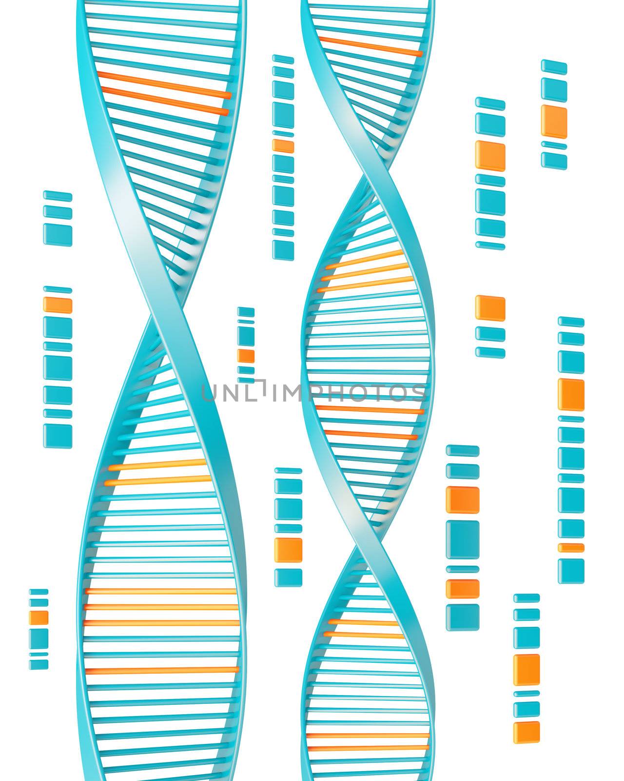 dna by maxkrasnov